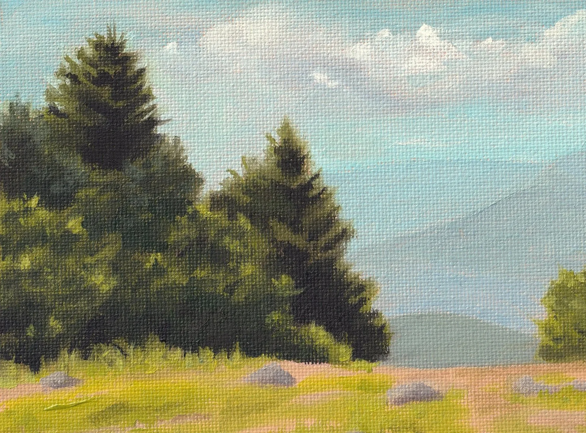 Ski+Slope+in+Summer+II.jpg