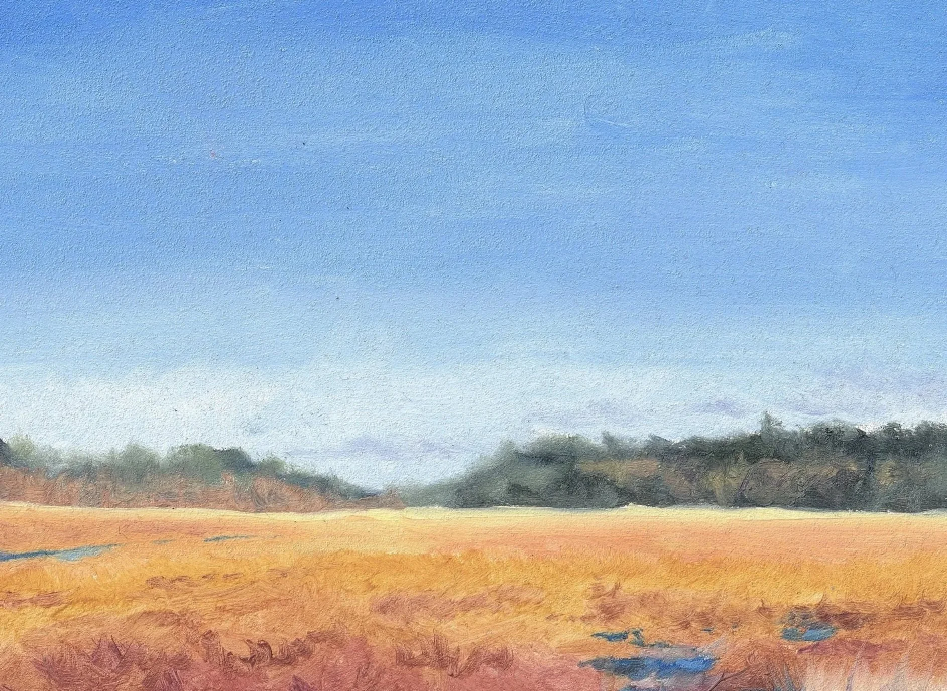 Great%2BMeadows%2BNature%2BConserve.jpg
