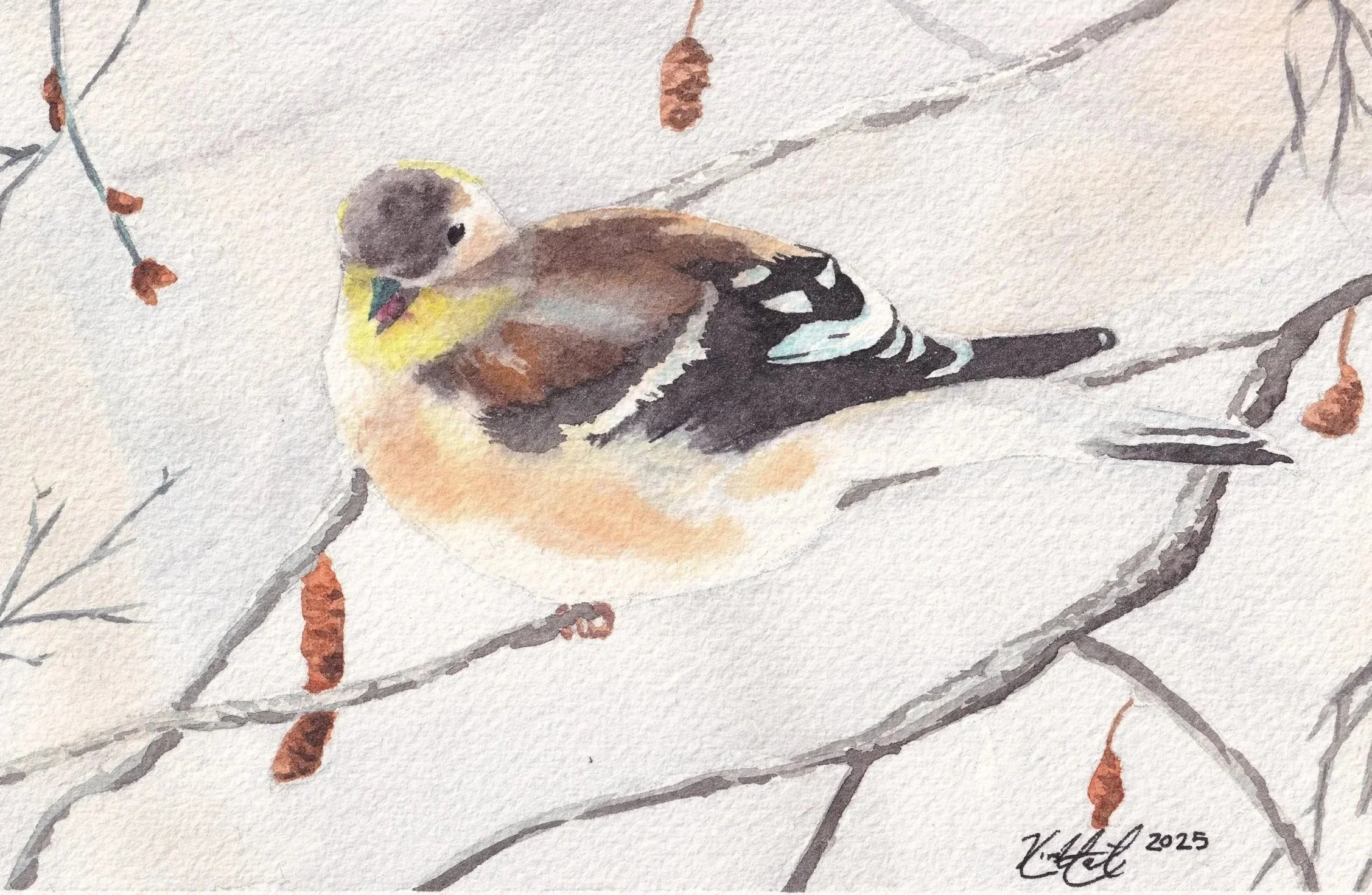 American Goldfinch in Winter Watercolor Painting