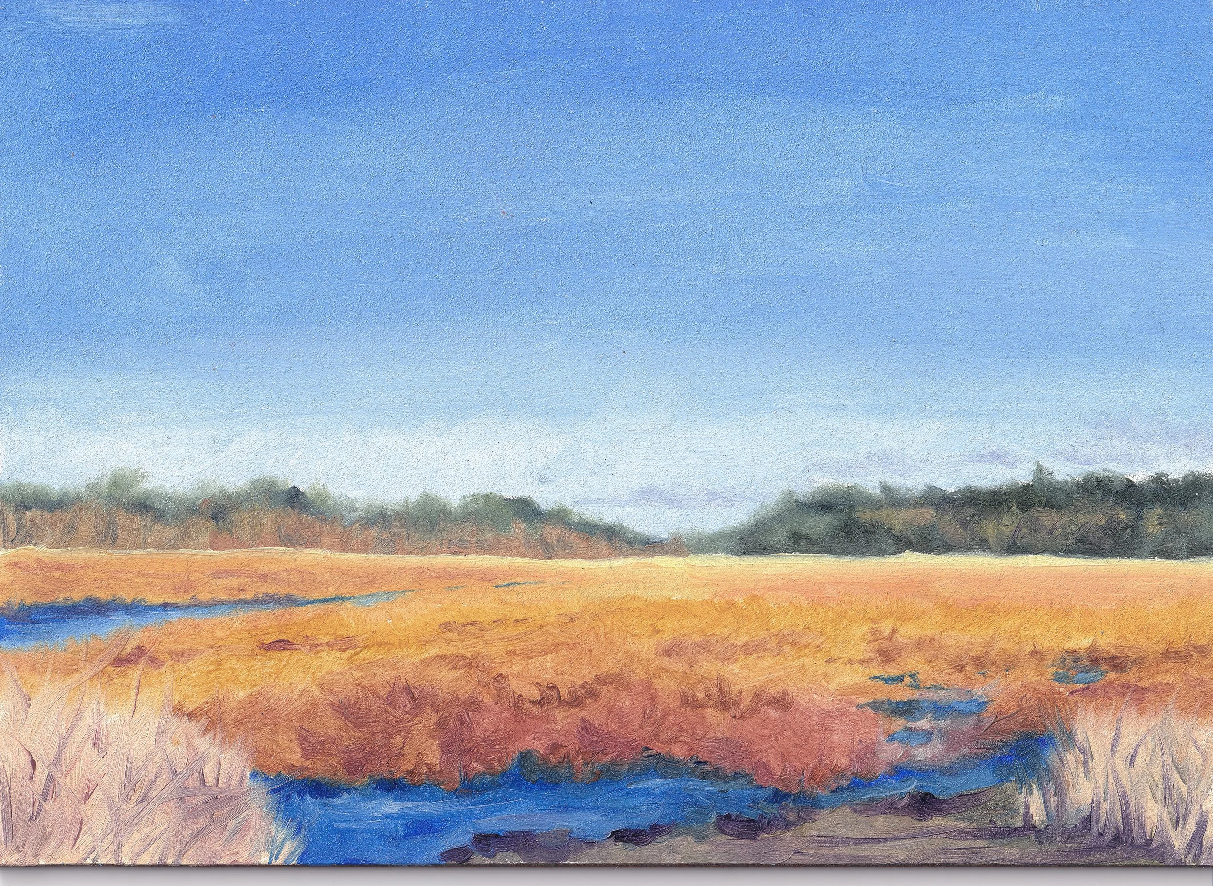 Great Meadows Nature Conserve Original Oil Painting