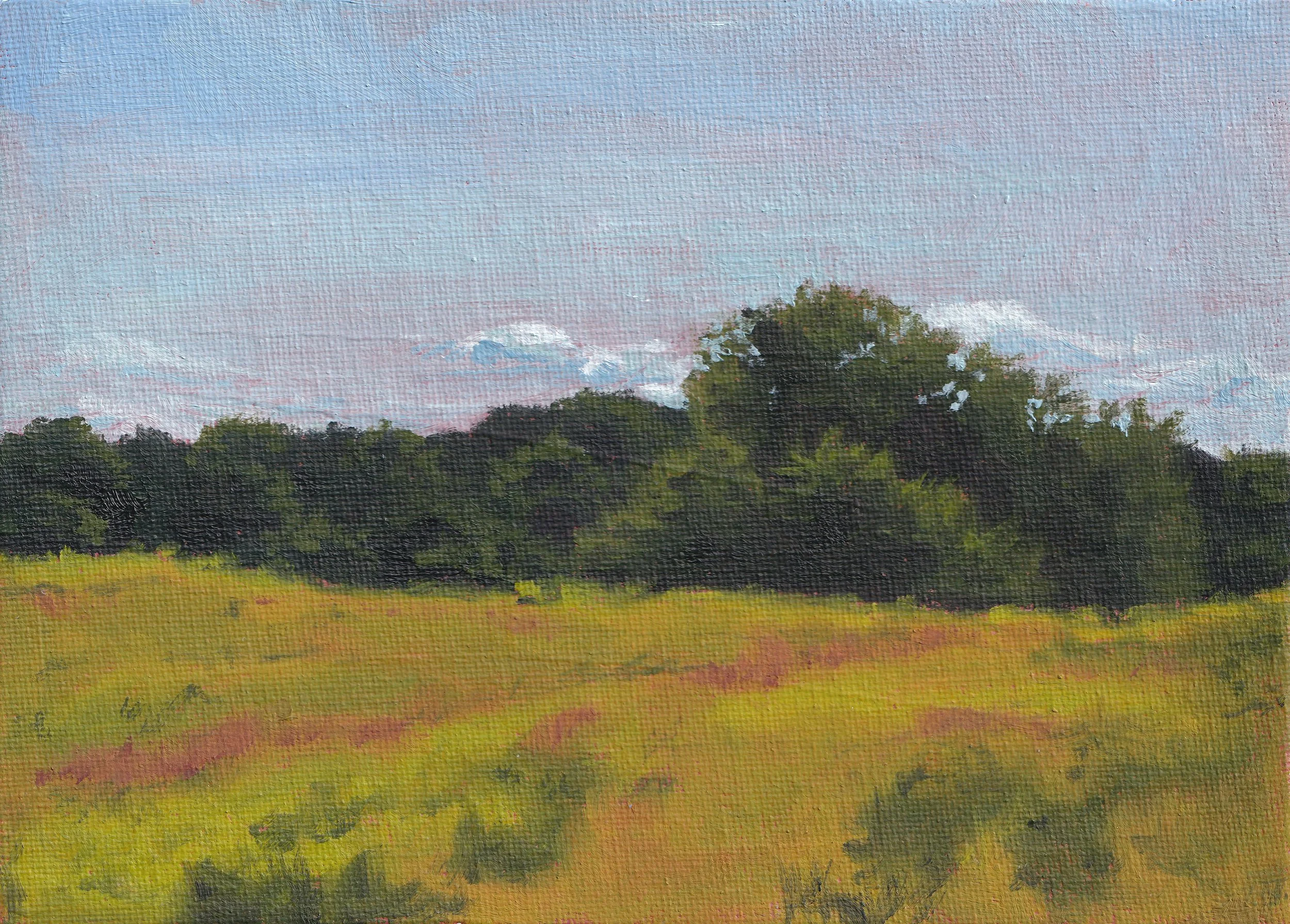 Field Study III Original Oil Painting