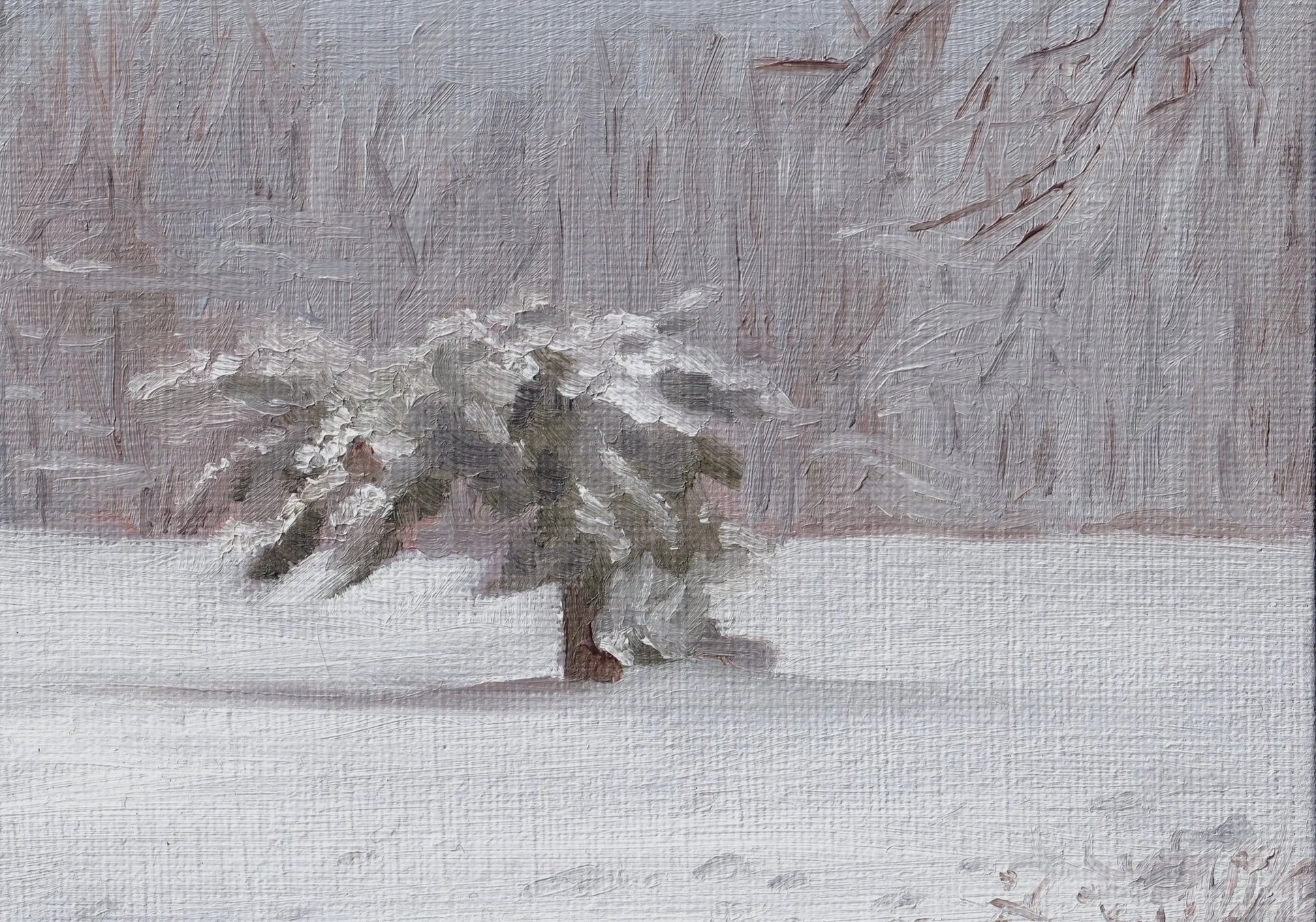 Winter+Tree.jpg