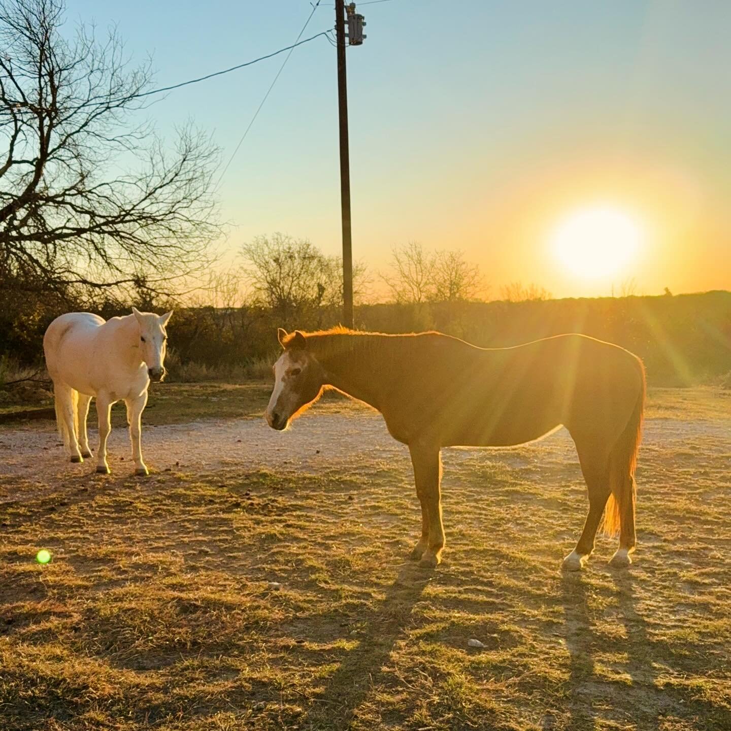 Beautiful cool, crisp morning on the ranch!