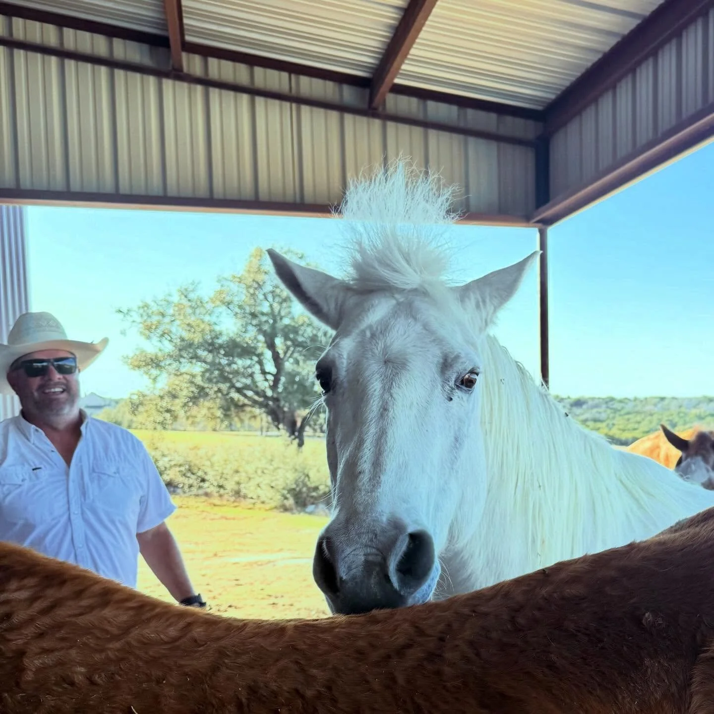 Pepper putting off some Albert Einstein vibes. 🤓