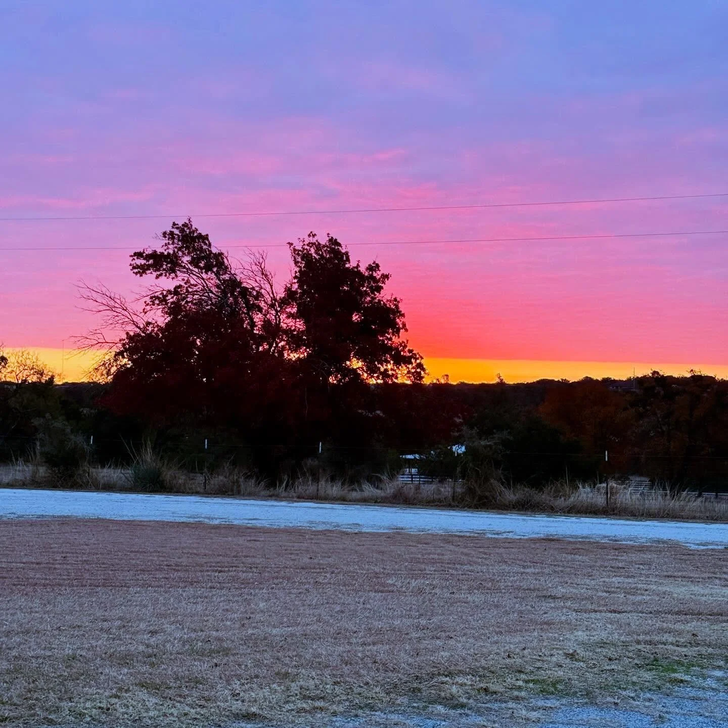 Couple quick pictures from my early morning walk to feed.
