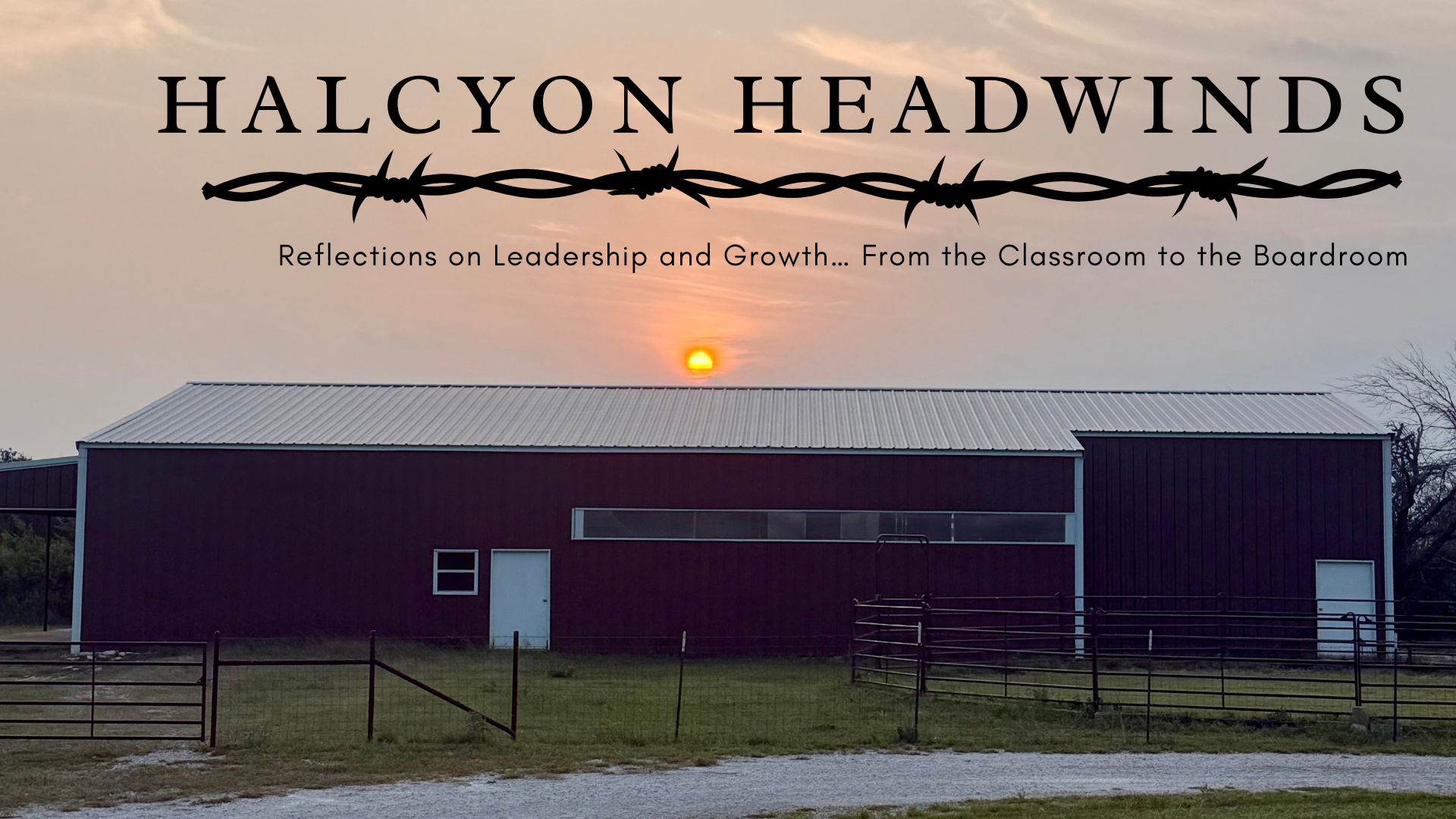 What 18 Issues of Halcyon Headwinds Taught Me
