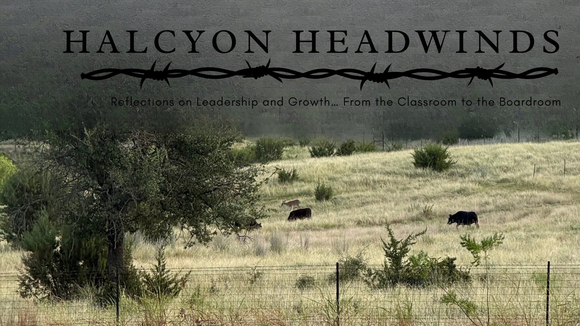 What Lasts After the Bell Rings