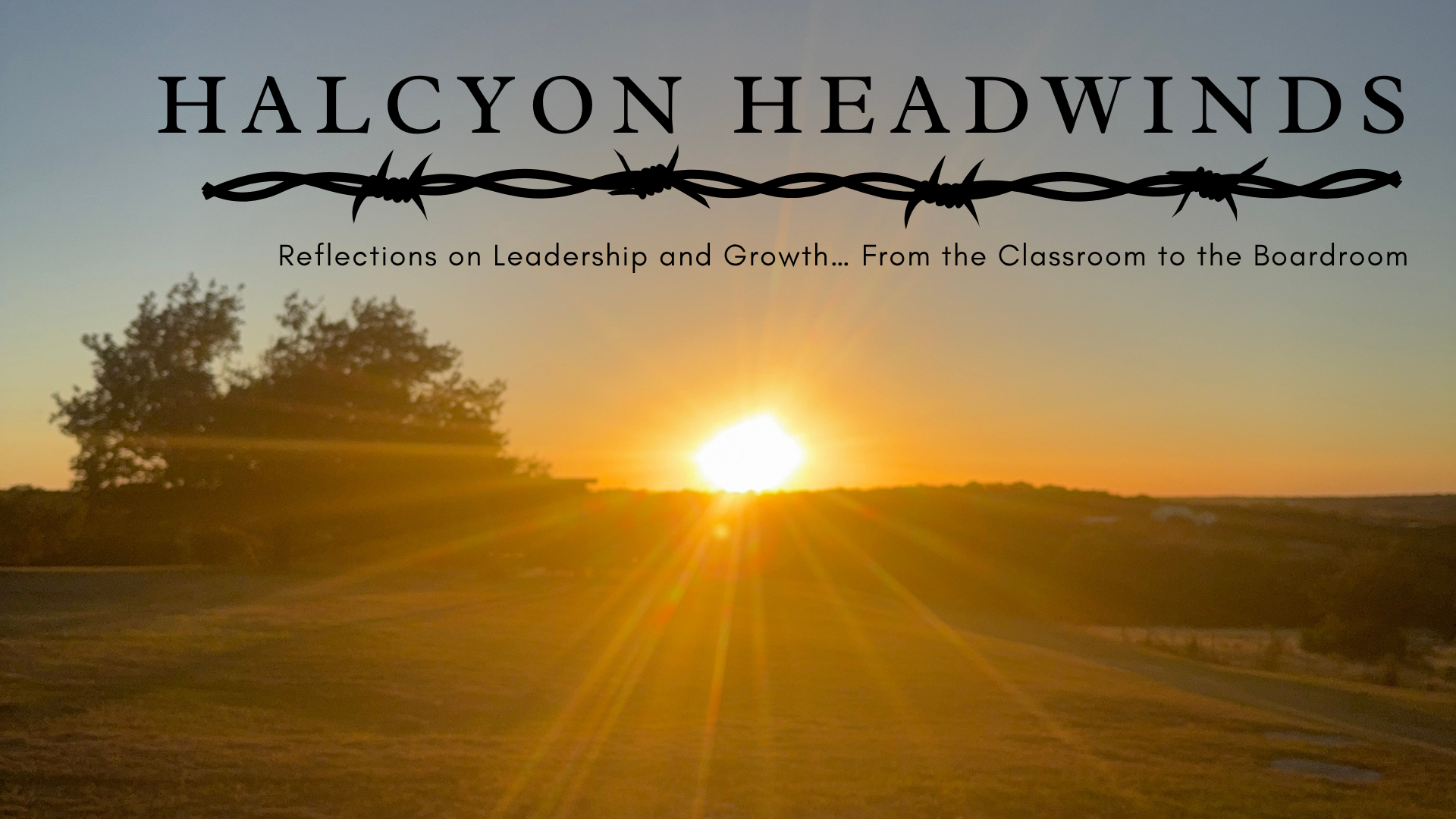 One Year at Halcyon