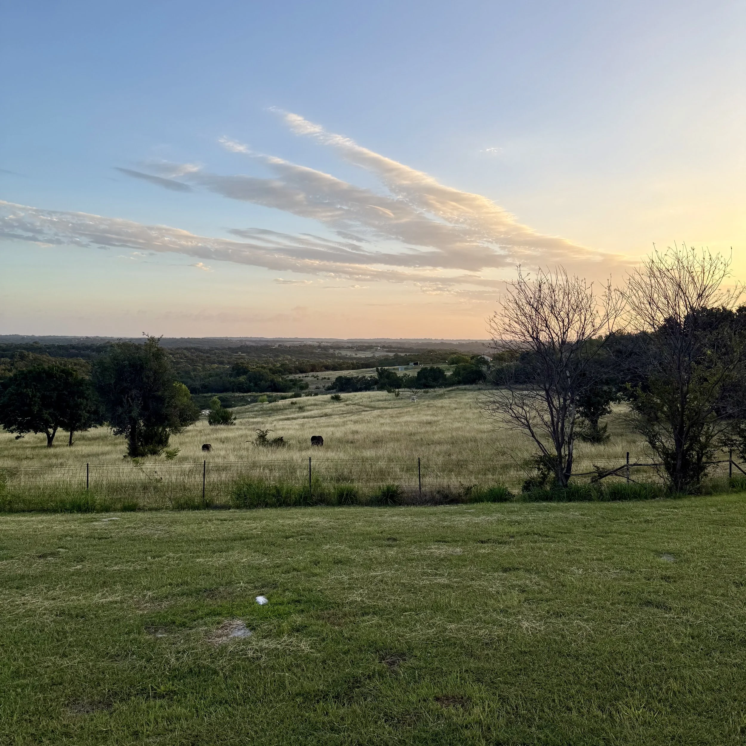 IMG_0972.jpeg