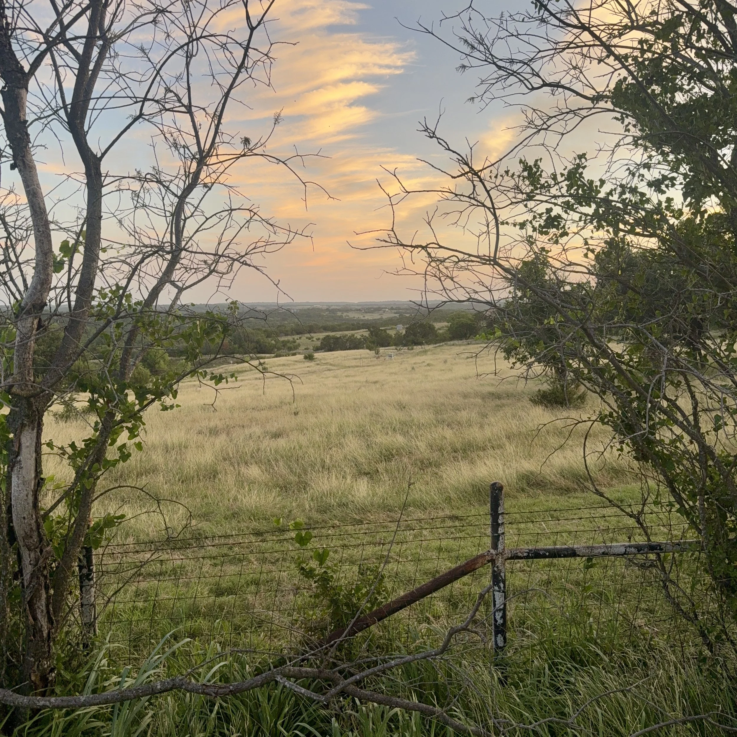 IMG_2299.jpeg
