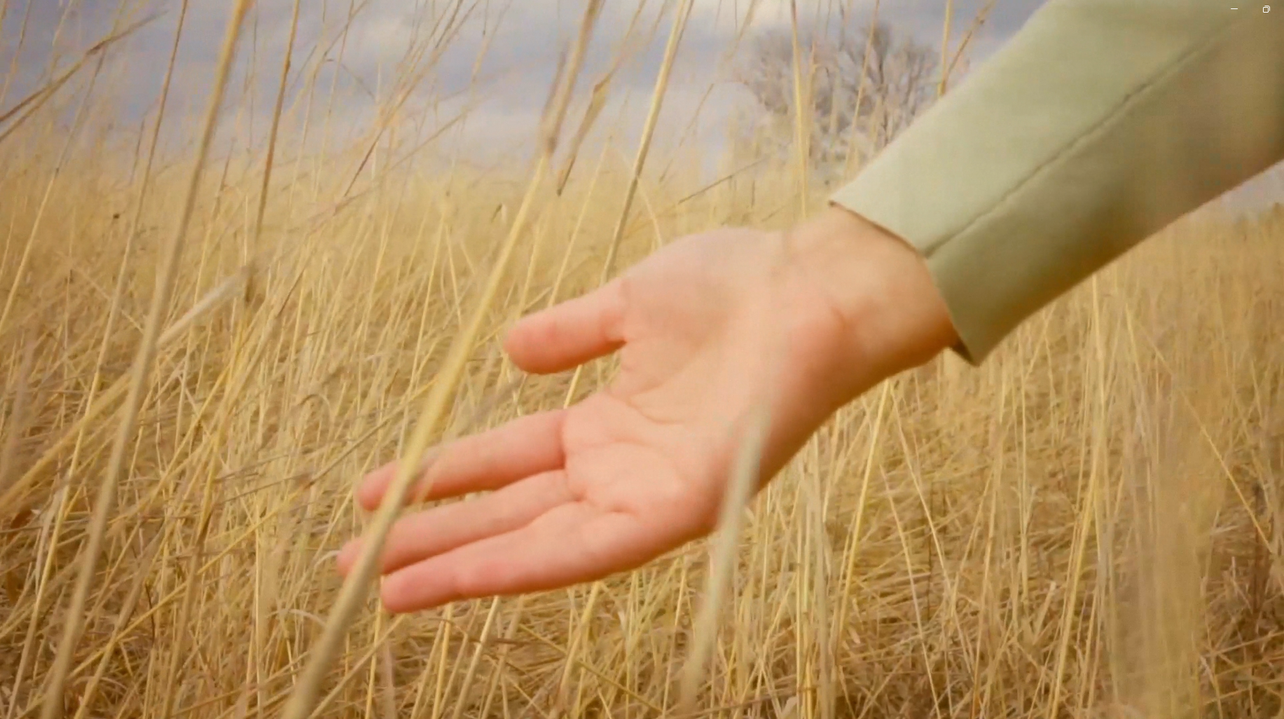 Letters From Joaquin