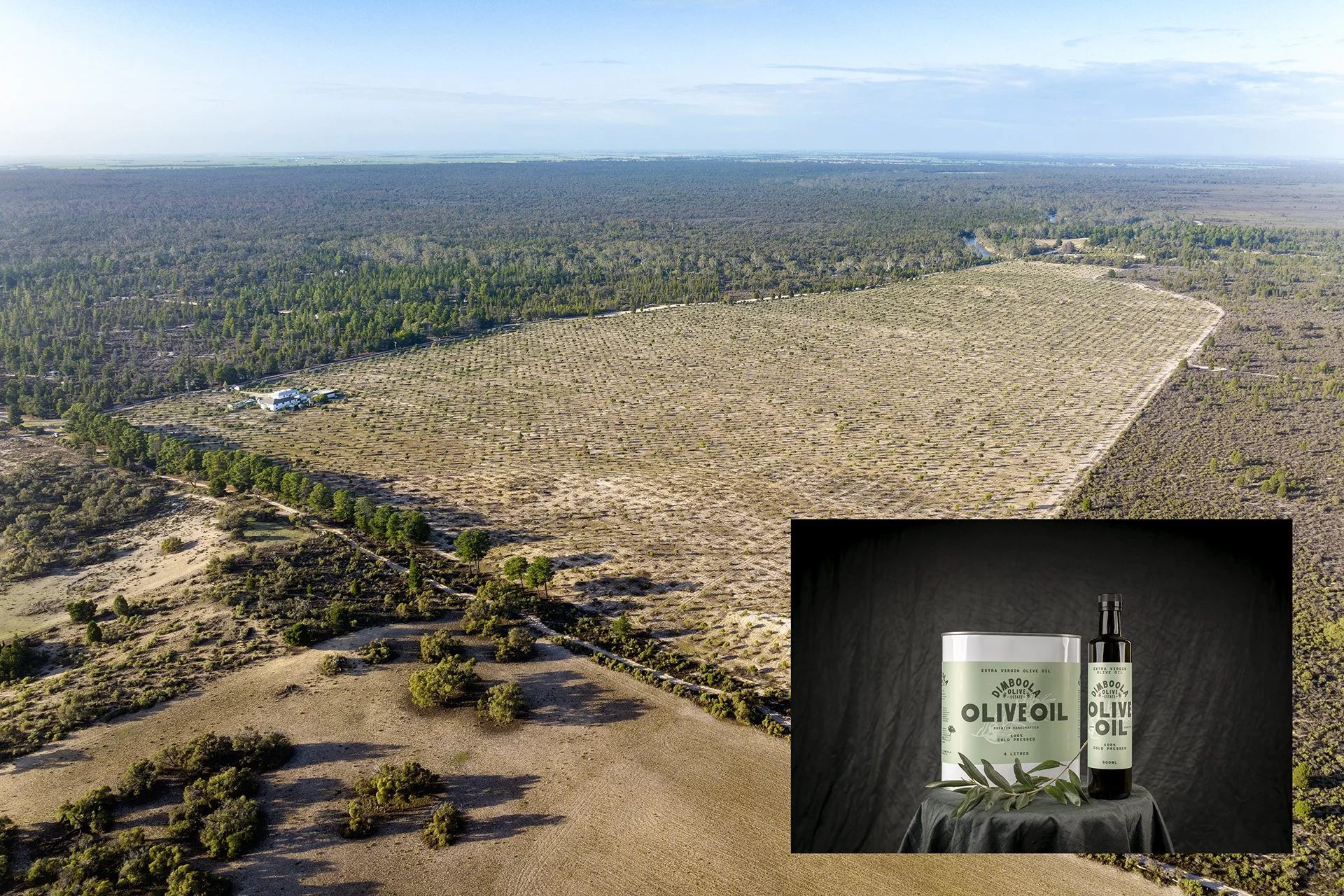 Dimboola Olive Estate