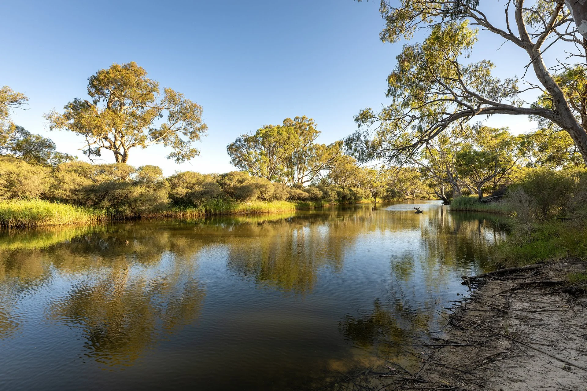 Wimmera River