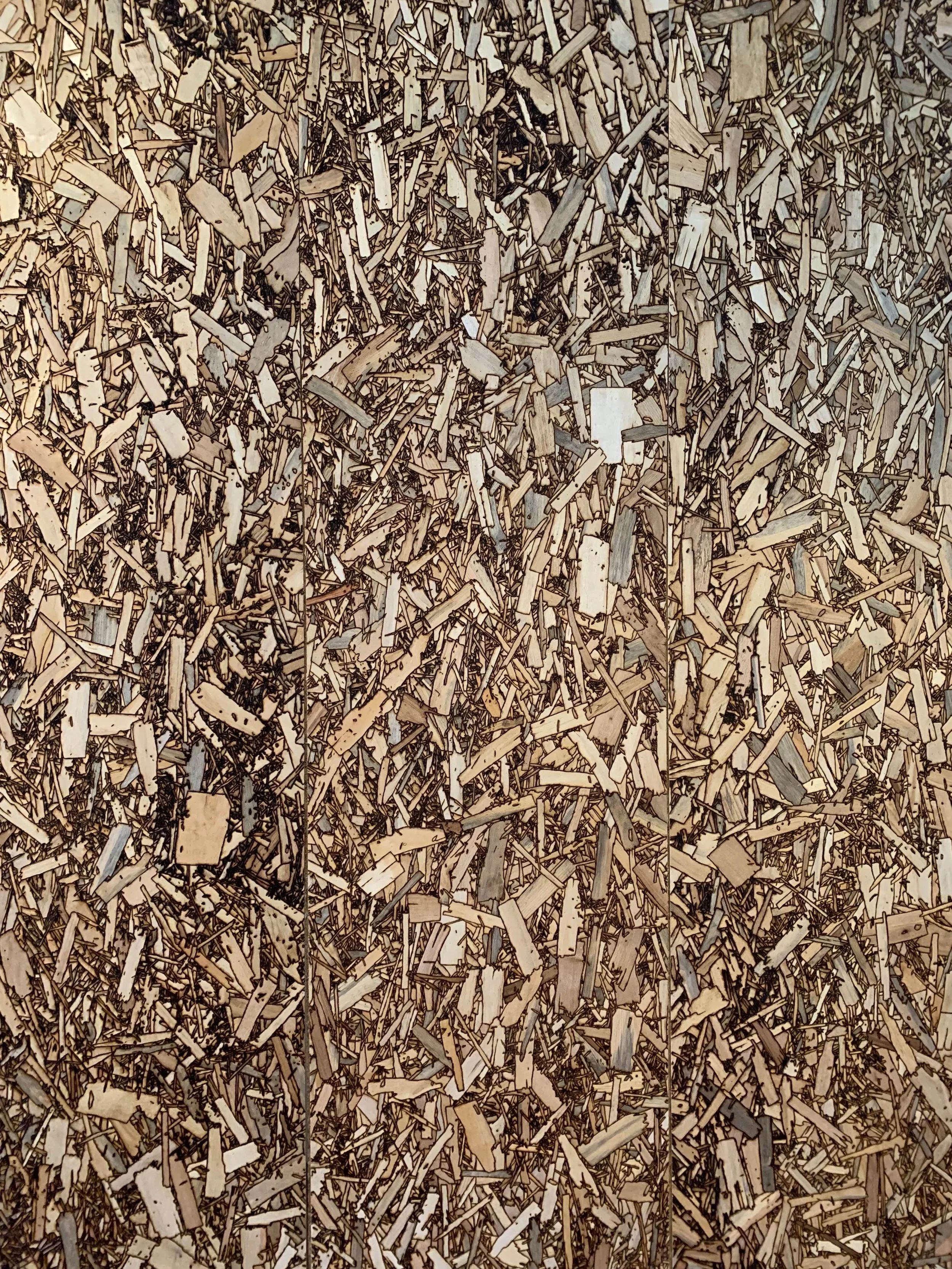 Close-up of piled shredded wood pieces with various sizes and shapes.