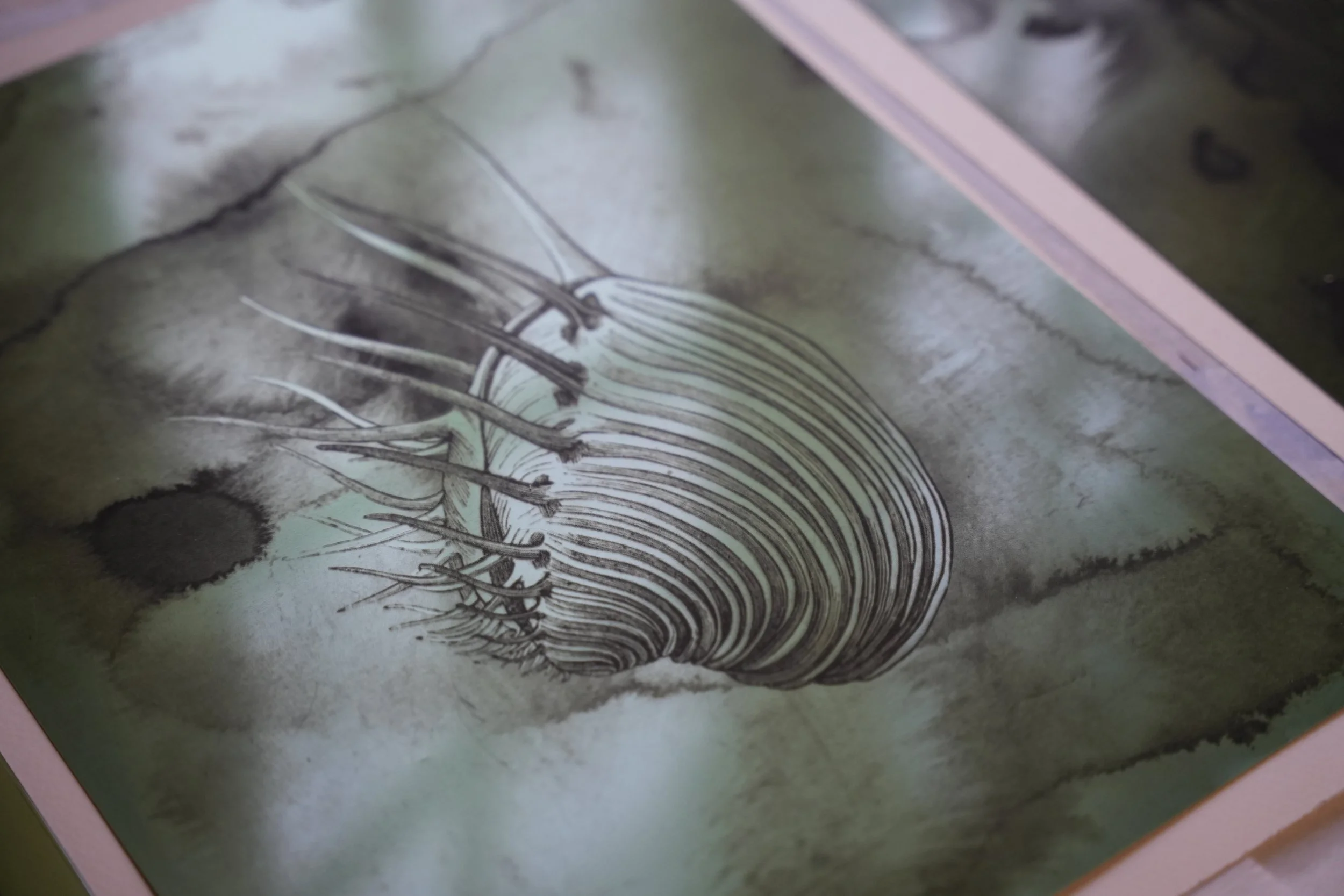 Plaque de gravure , engraving