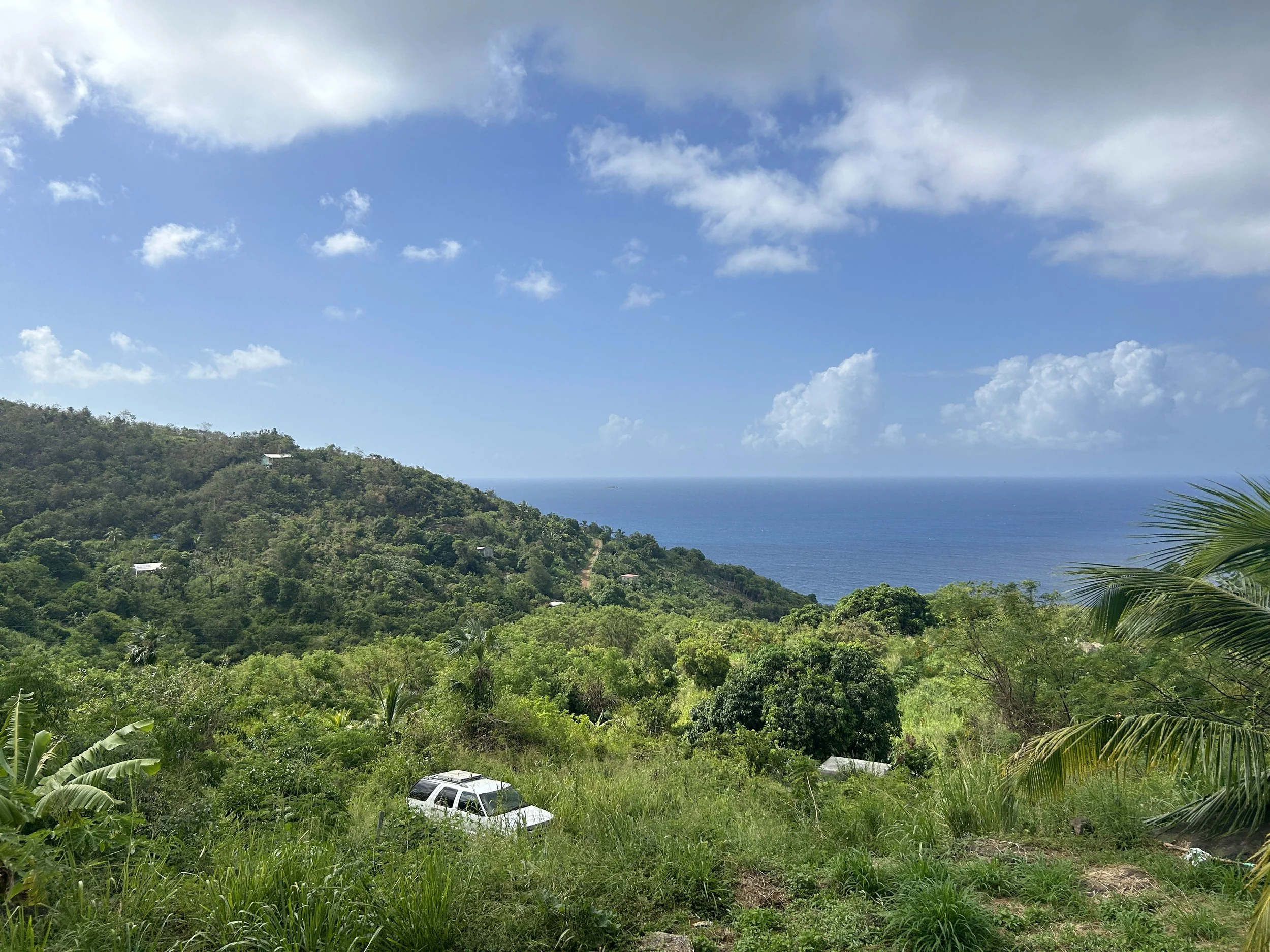 Celine Rendon-Climate Adaptation & Resilience.JPG