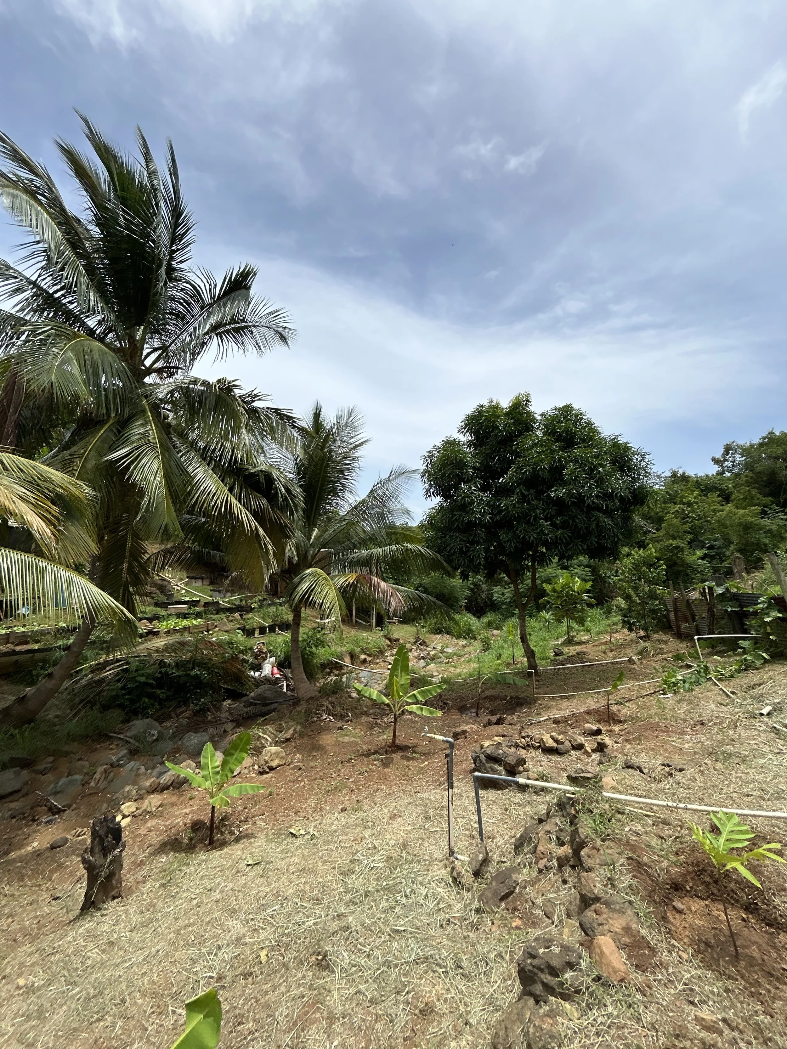 Celine Rendon-Climate Adaptation & Resilience.jpg