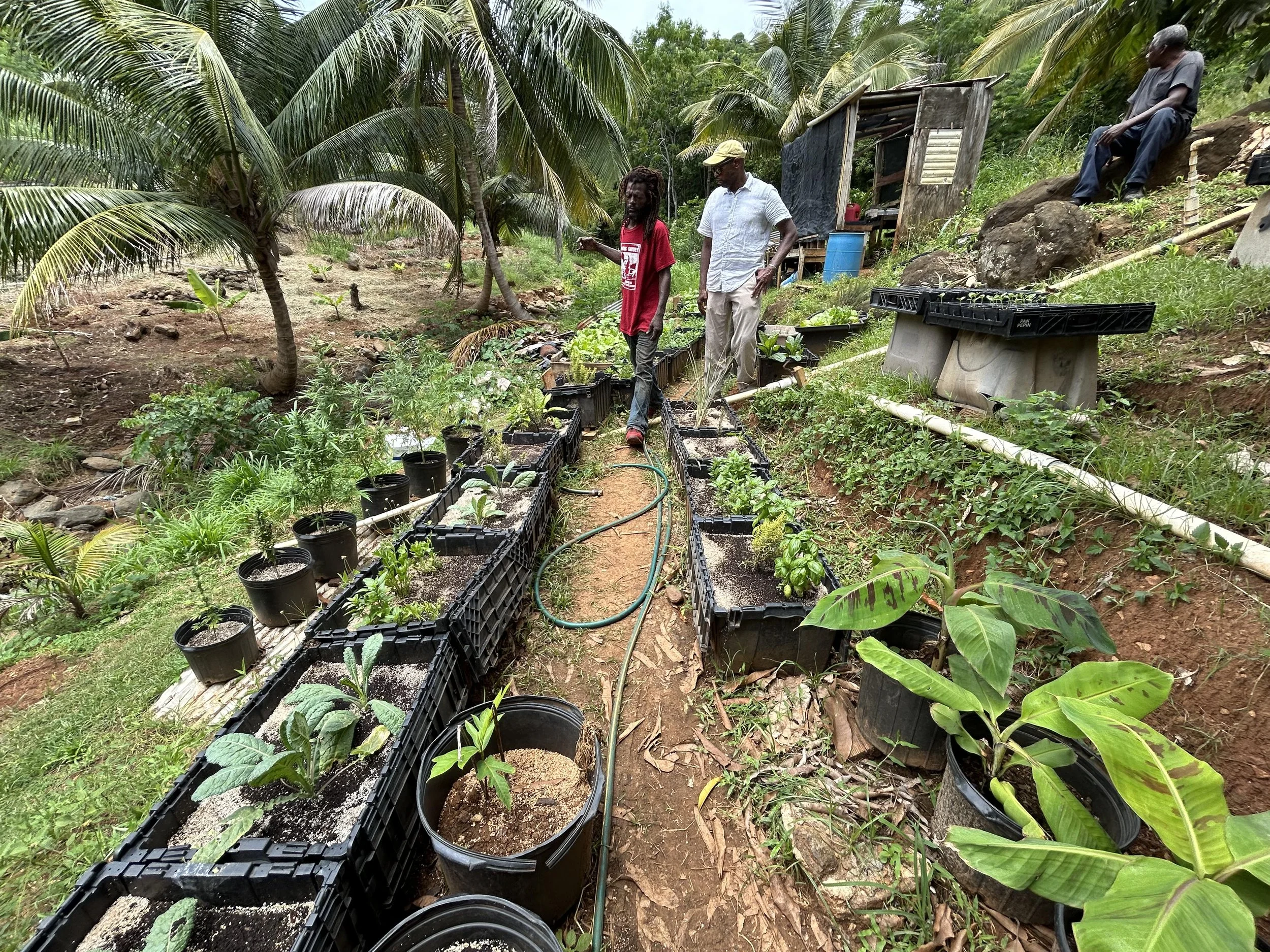 Celine Rendon-Climate Adaptation & Resilience.jpg