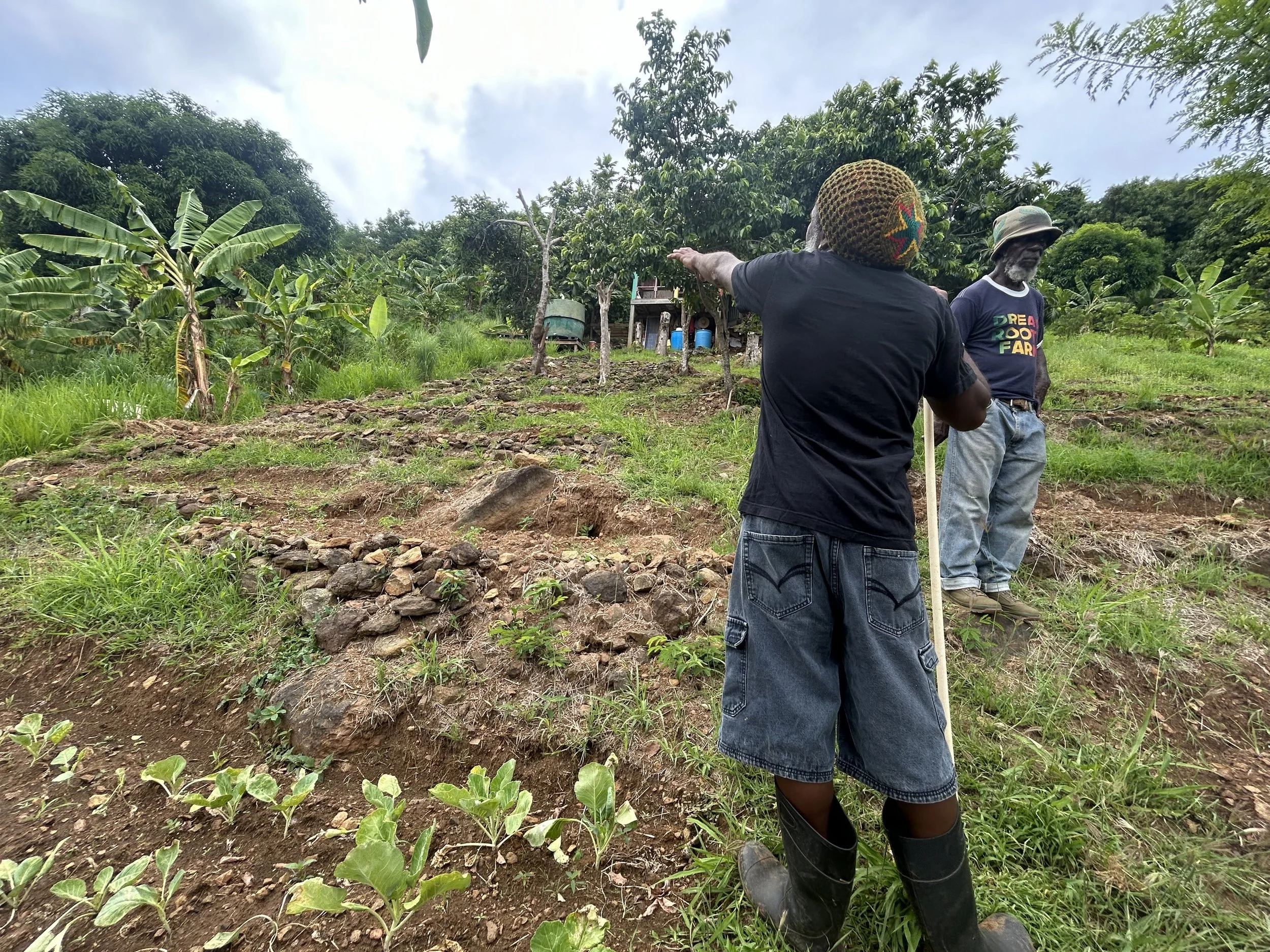 Celine Rendon-Climate Adaptation & Resilience.jpg