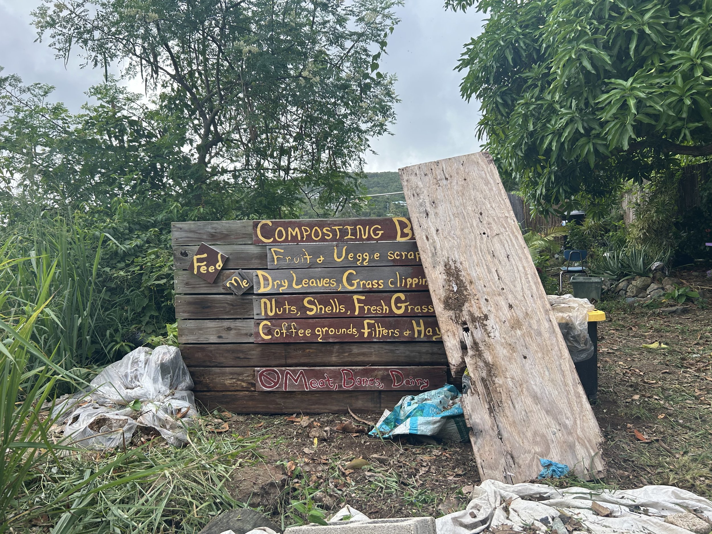 Celine Rendon-Climate Adaptation & Resilience.jpg