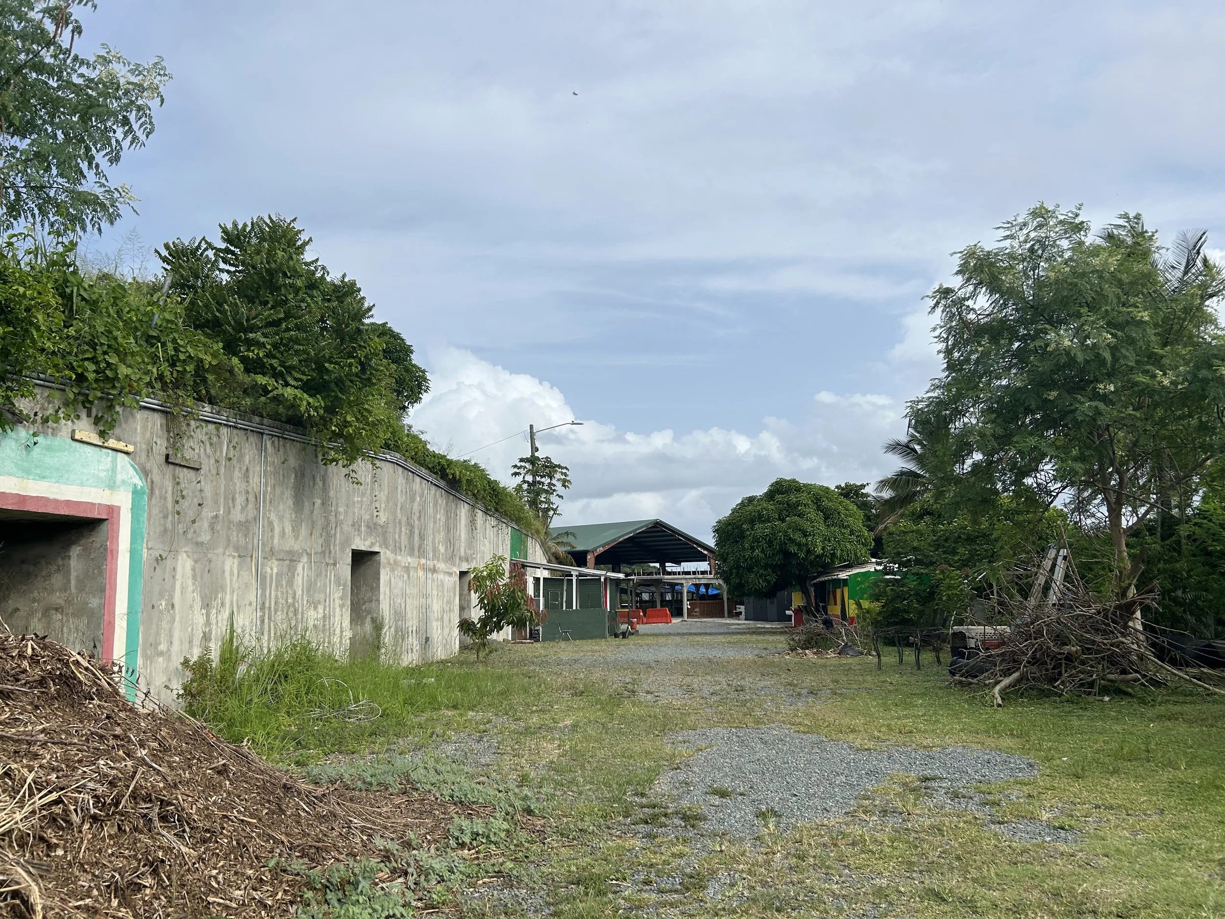 Celine Rendon-Climate Adaptation & Resilience.jpg