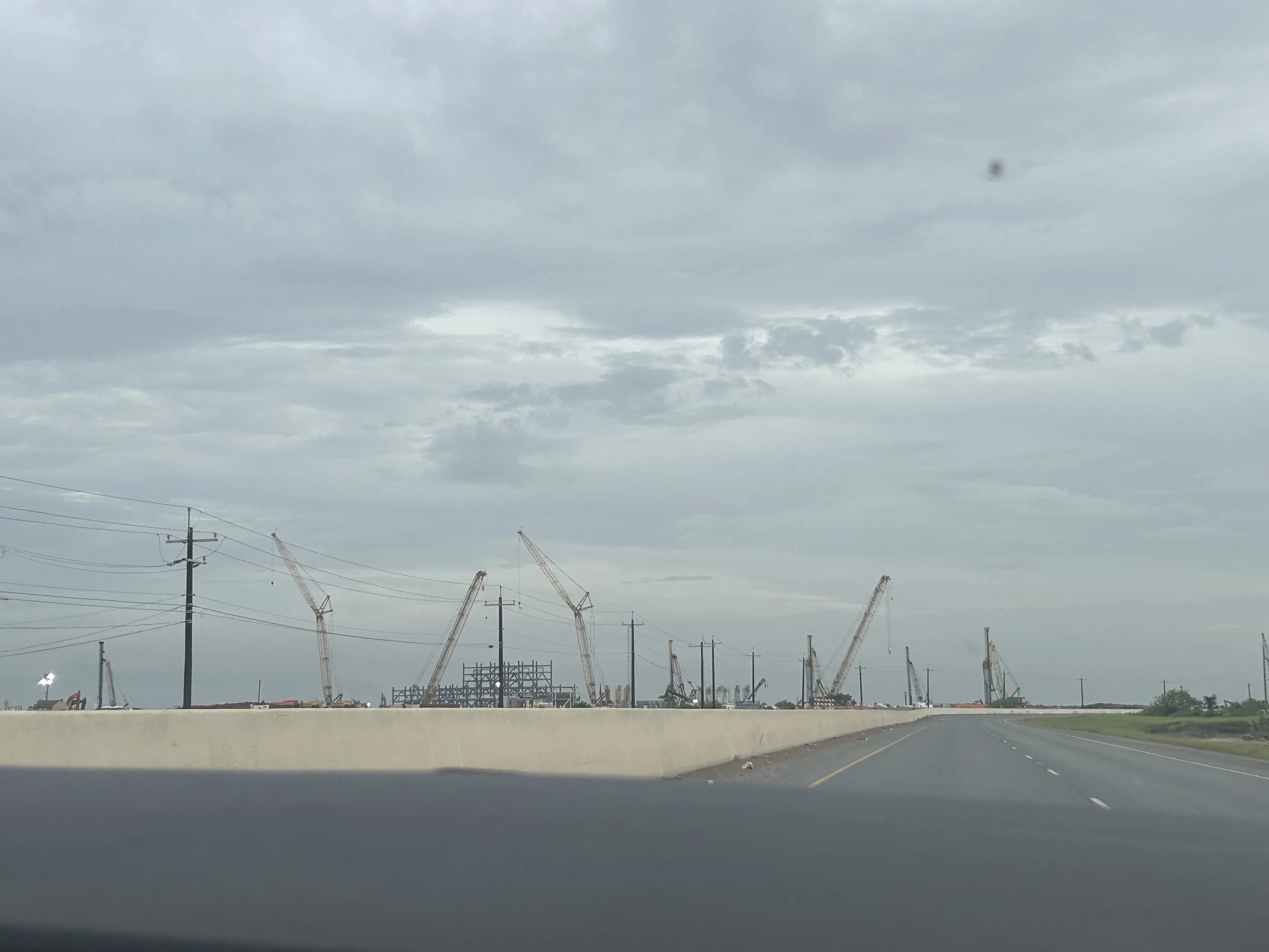 Celine Rendon-Climate Adaptation & Resilience.jpg