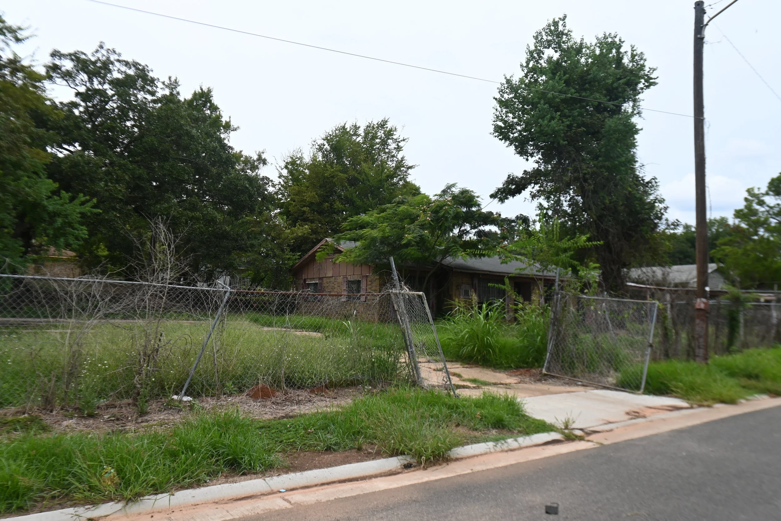 Celine Rendon-Climate Adaptation & Resilience.JPG