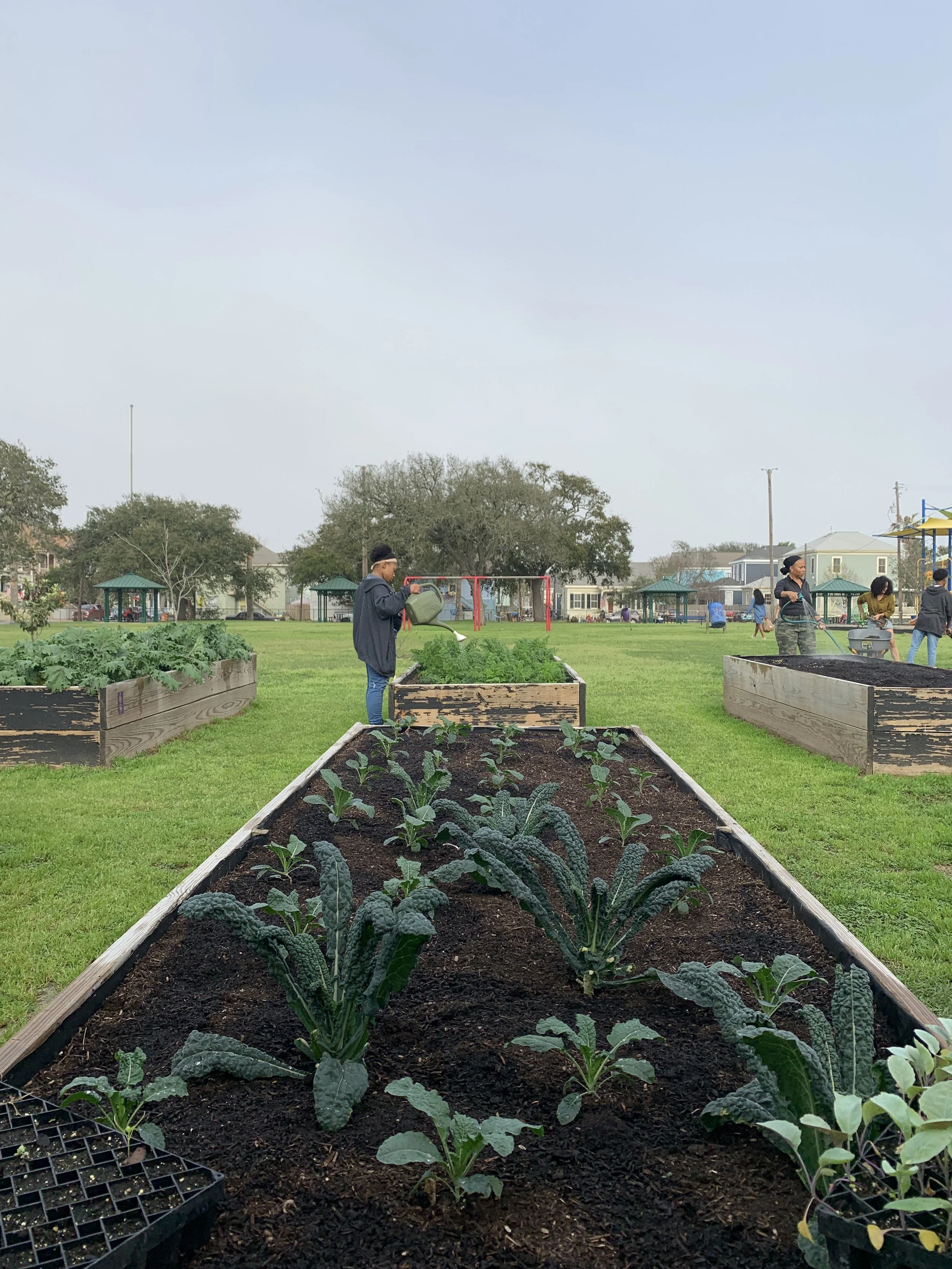 Celine Rendon-Climate Adaptation & Resilience.JPG