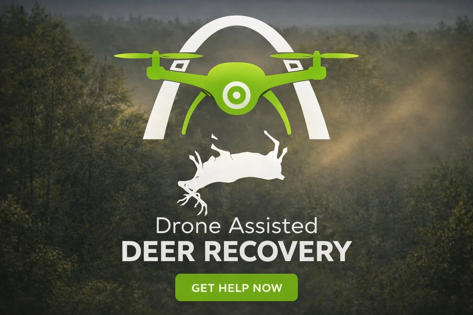 Deer Recovery