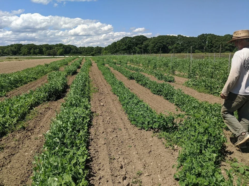 Contact 2 — Greenview Farm