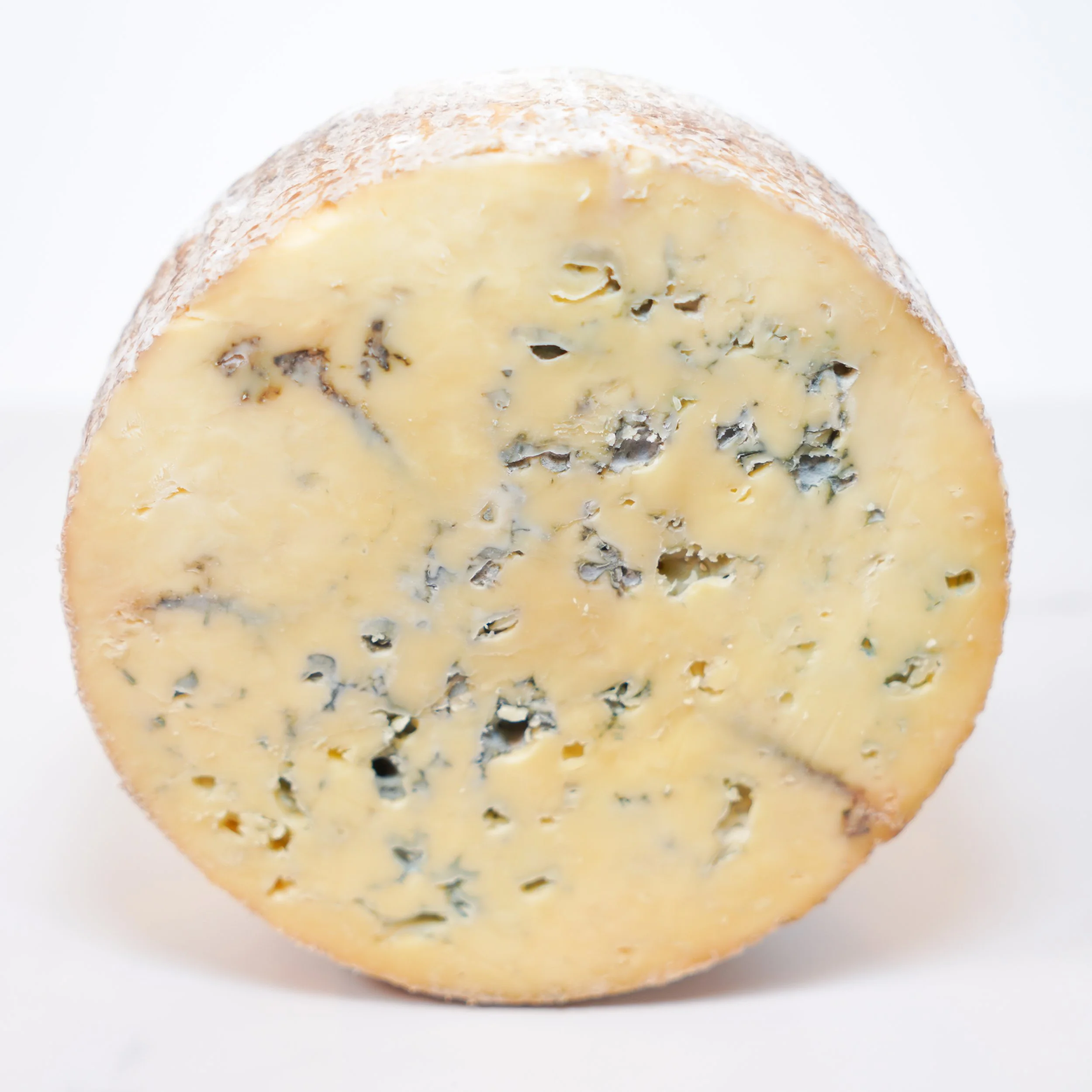 Mad River Blue | Von Trapp, VT