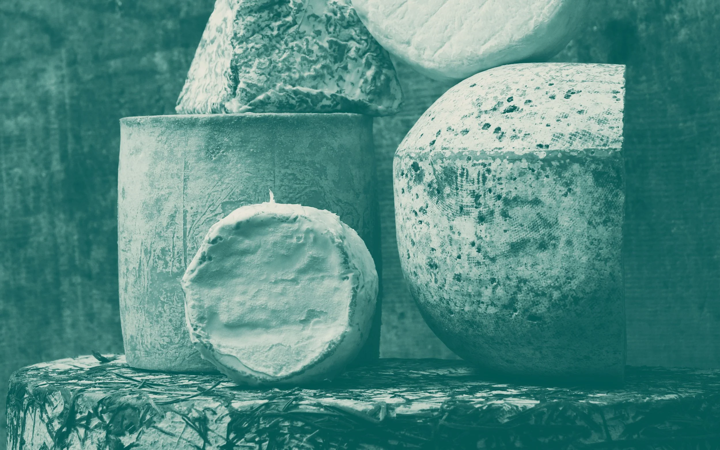 CHEESE CUT TO ORDER