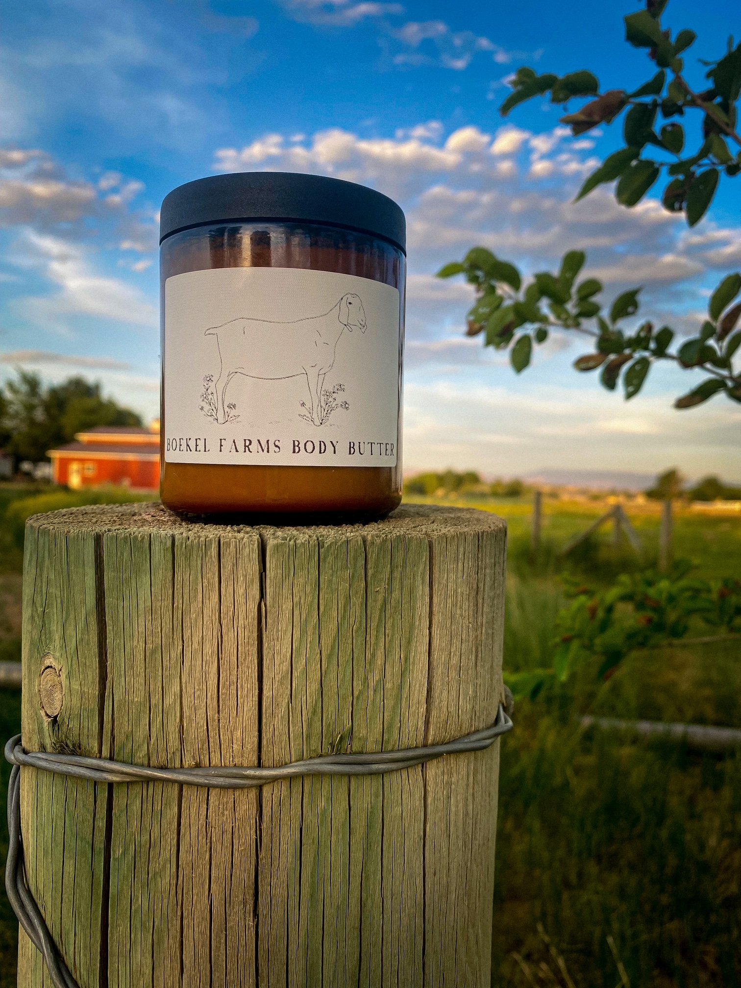 Goat Milk Body Butter