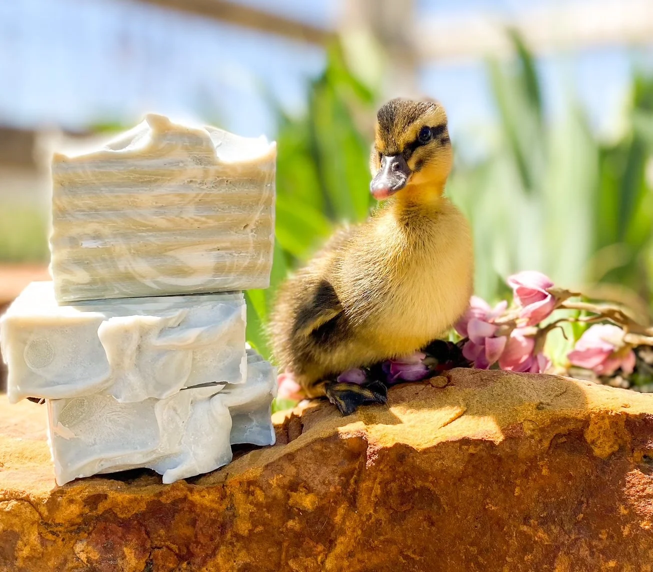 Goat Milk Soap - After the Rain