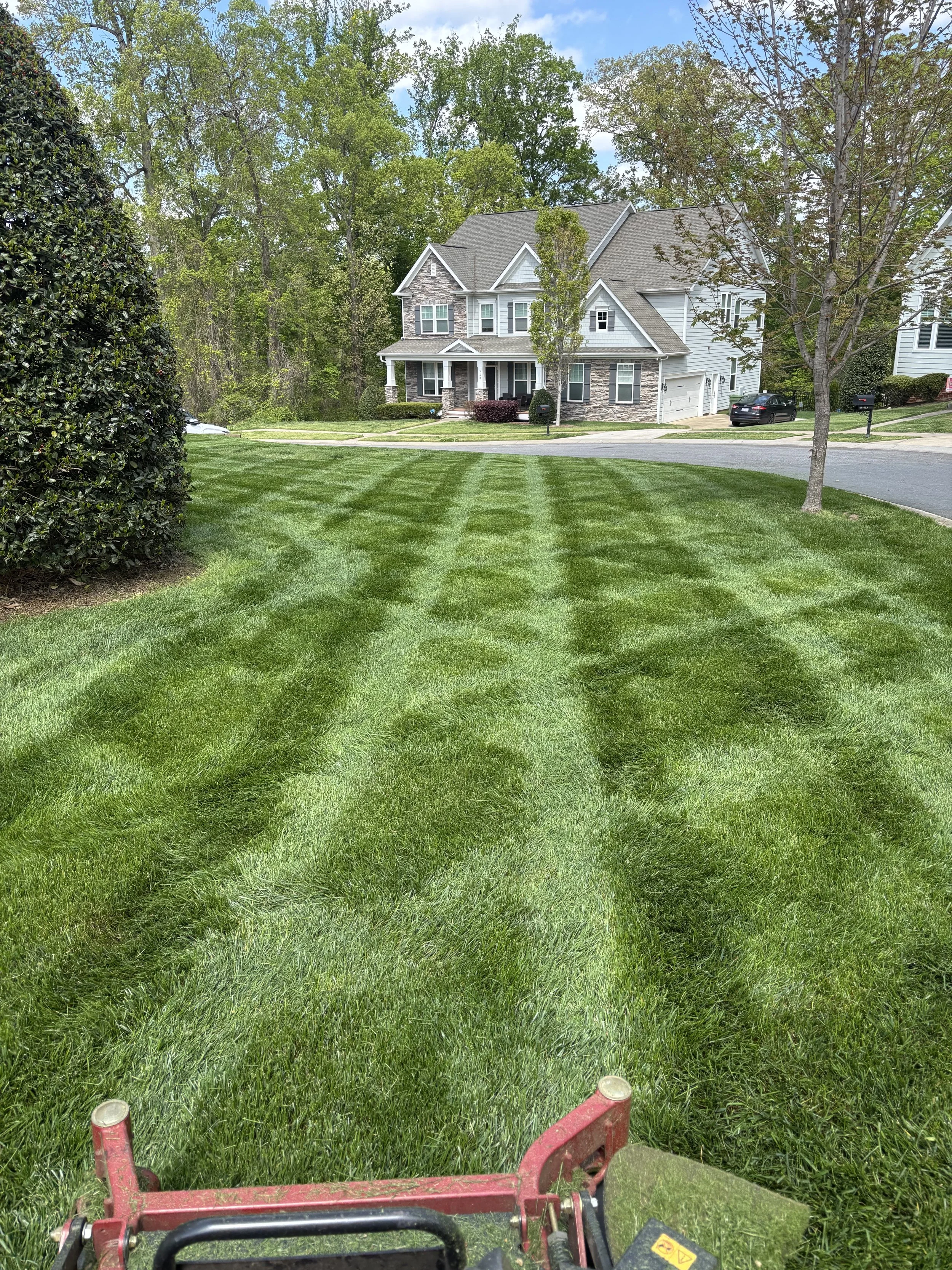 lawn