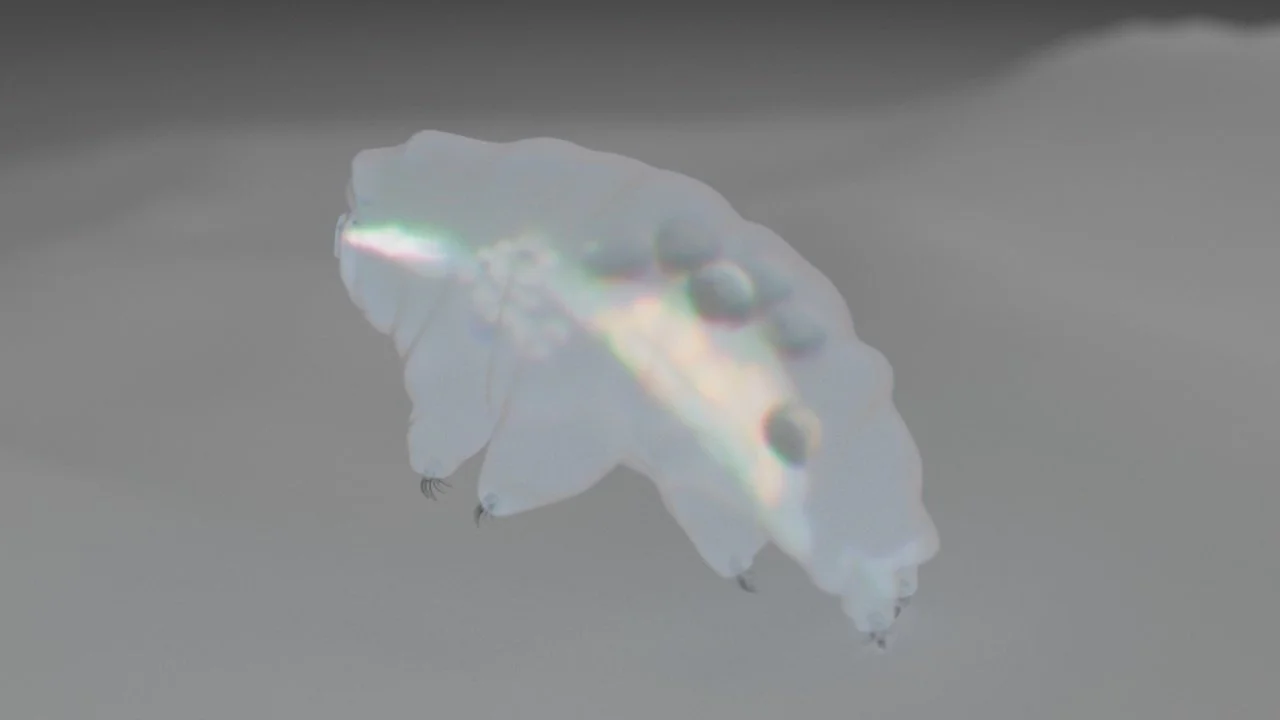 Initial test render (Redshift) to see how the translucency effect looks. I adjusted emission intensities for different internal structures — reflecting how bright they appear under a light microscope.