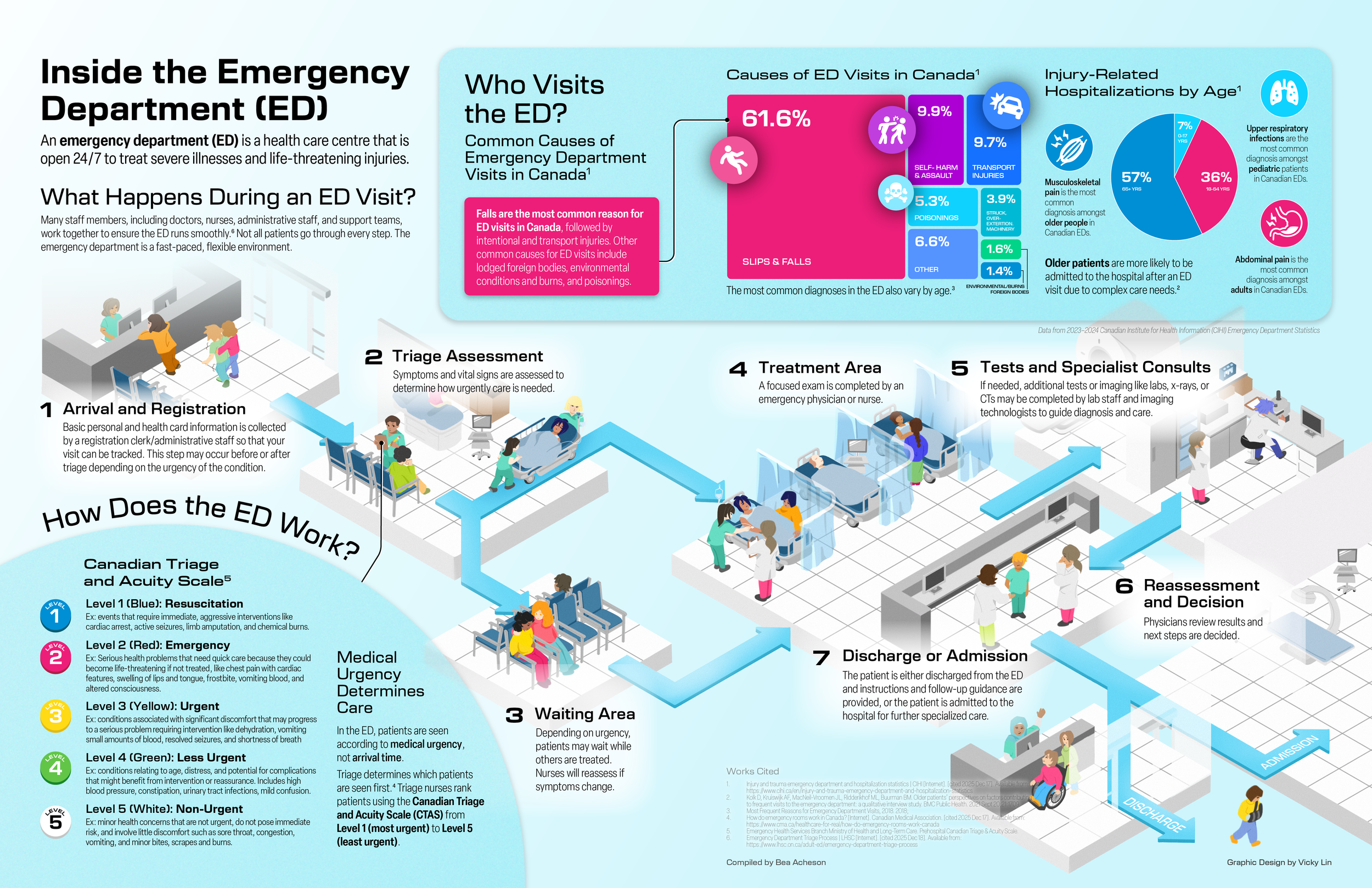 Inside the Emergency Department (Infographic)