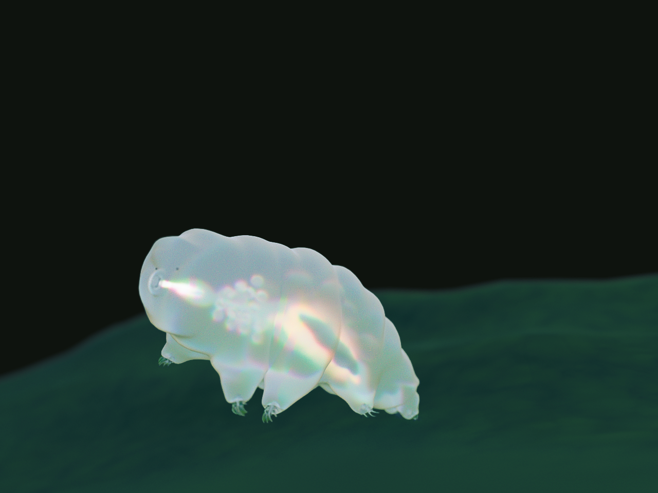 I also masked out the tardigrade to make additional colour adjustments and restore its brightness while keeping the overall hues in harmony with the rest of the image.