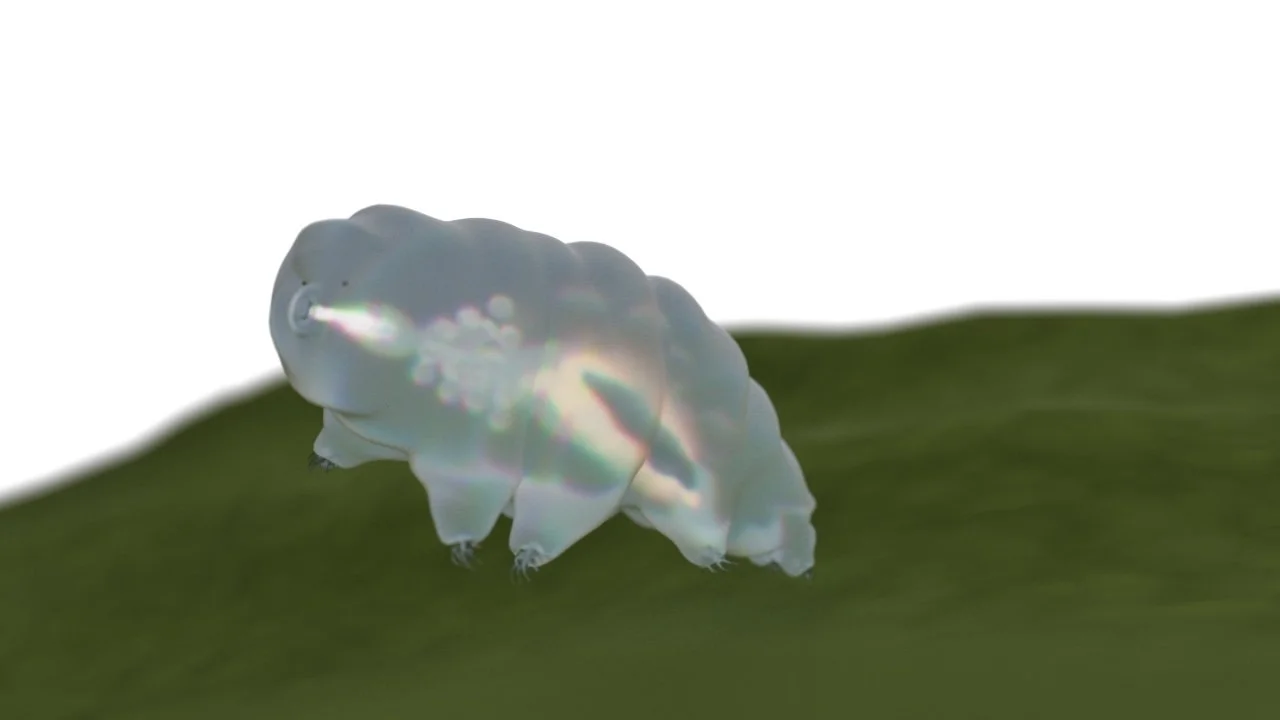 Raw render output for the tardigrade infographic hero image from C4D.