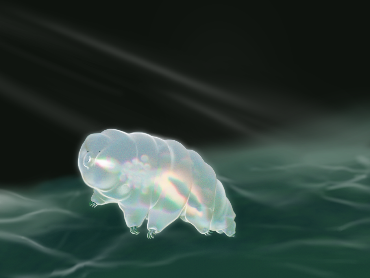 I wanted to make the scene appear ethereal, dreamy, and dynamic. In Procreate, I airbrushed wave textures onto the background to add motion. I added white edge lighting to specific contours on the subject to make it pop out more.