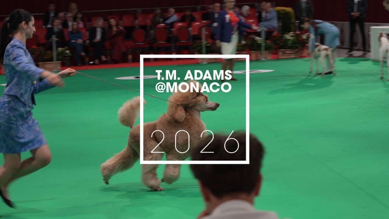Au Cœur de l'Exposition Canine Internationale de Monaco (CACIB 2026)