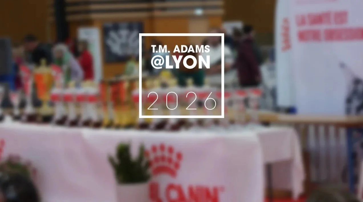 Lyon 2026 : Le Shiba Inu d'Élite en Entrée en Scène