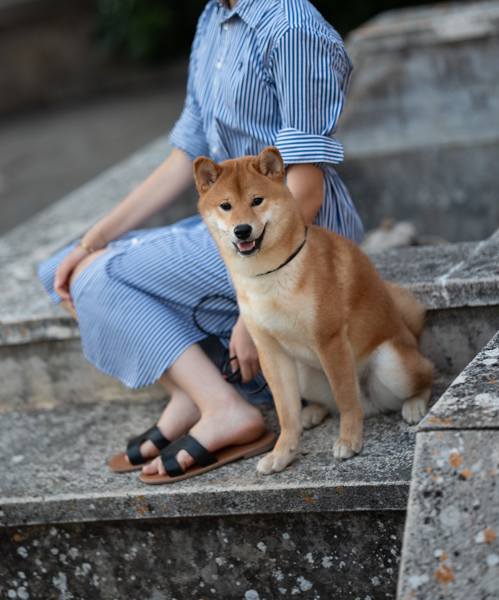 Après le World Dog Show : Parenthèse de Liberté à Giove
