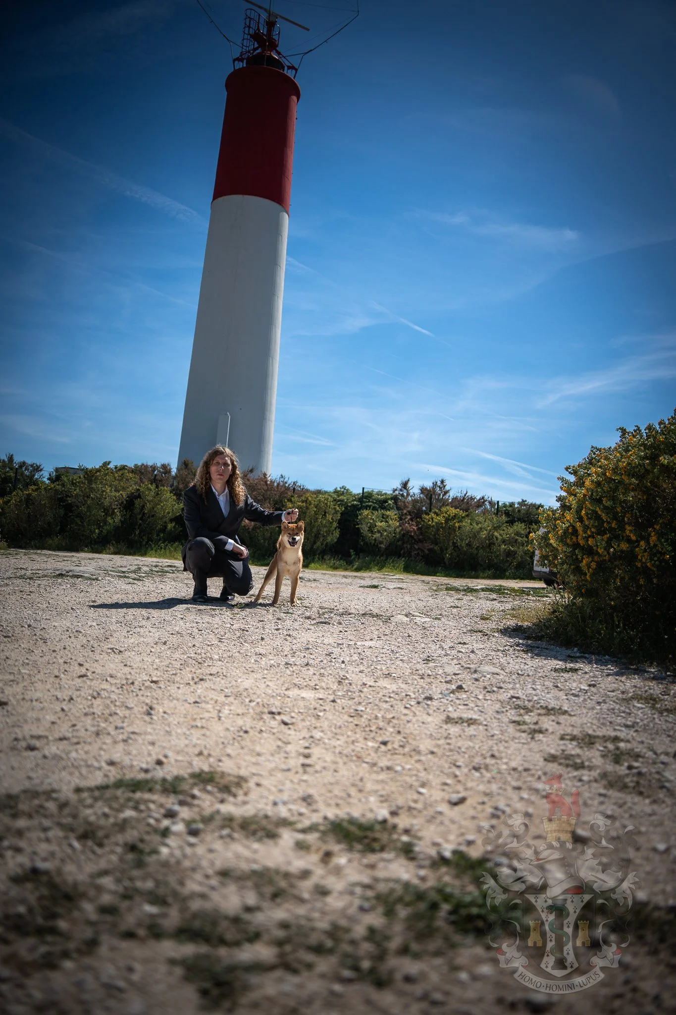 Un Shiba Inu en position de présentation au Phare de Cap Couronne, alliant structure canine et patrimoine de Martigues.