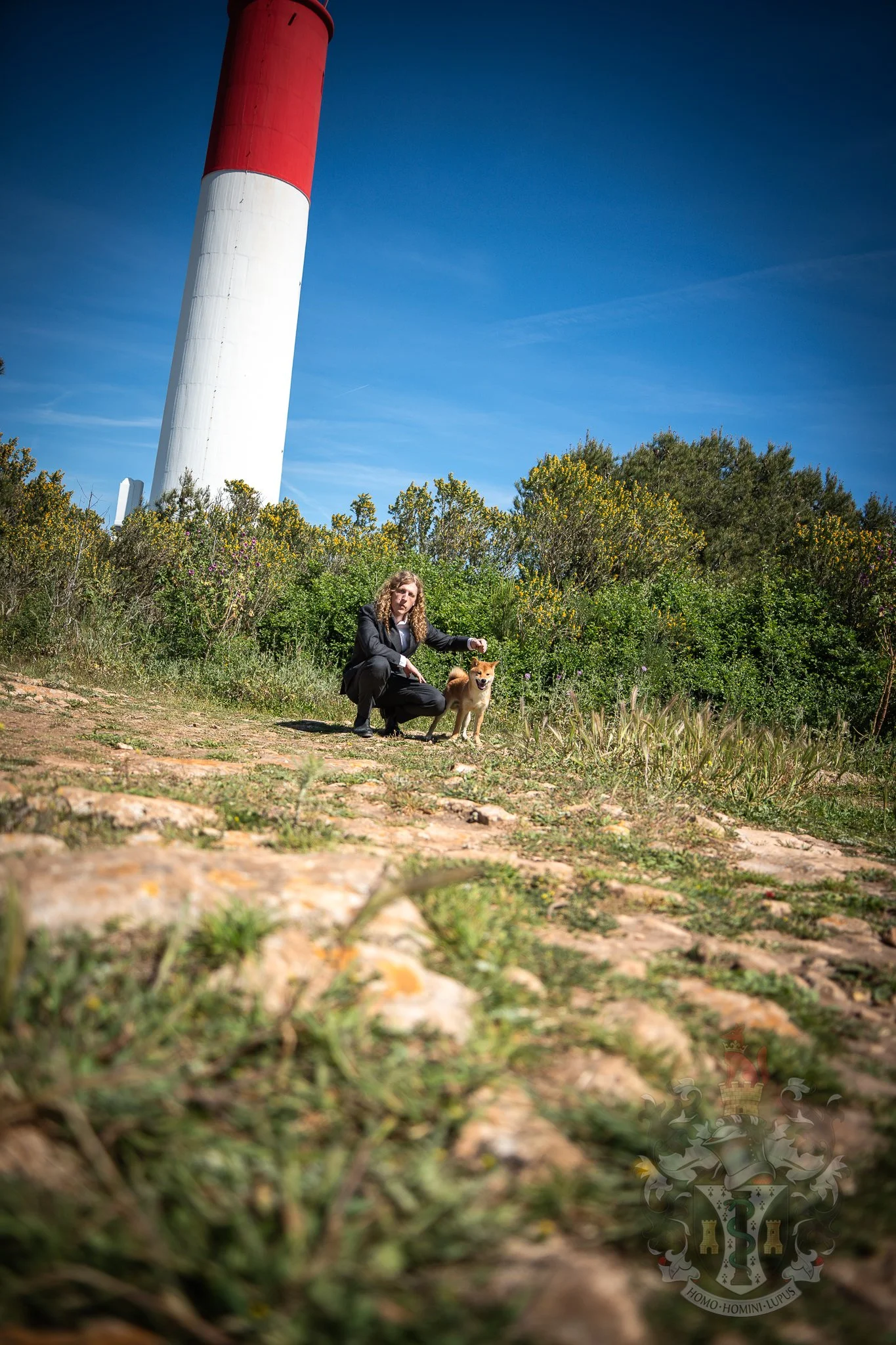Perspective basse au Phare de Cap Couronne, mettant en avant la rigueur de la sélection canine T.M. ADAMS.