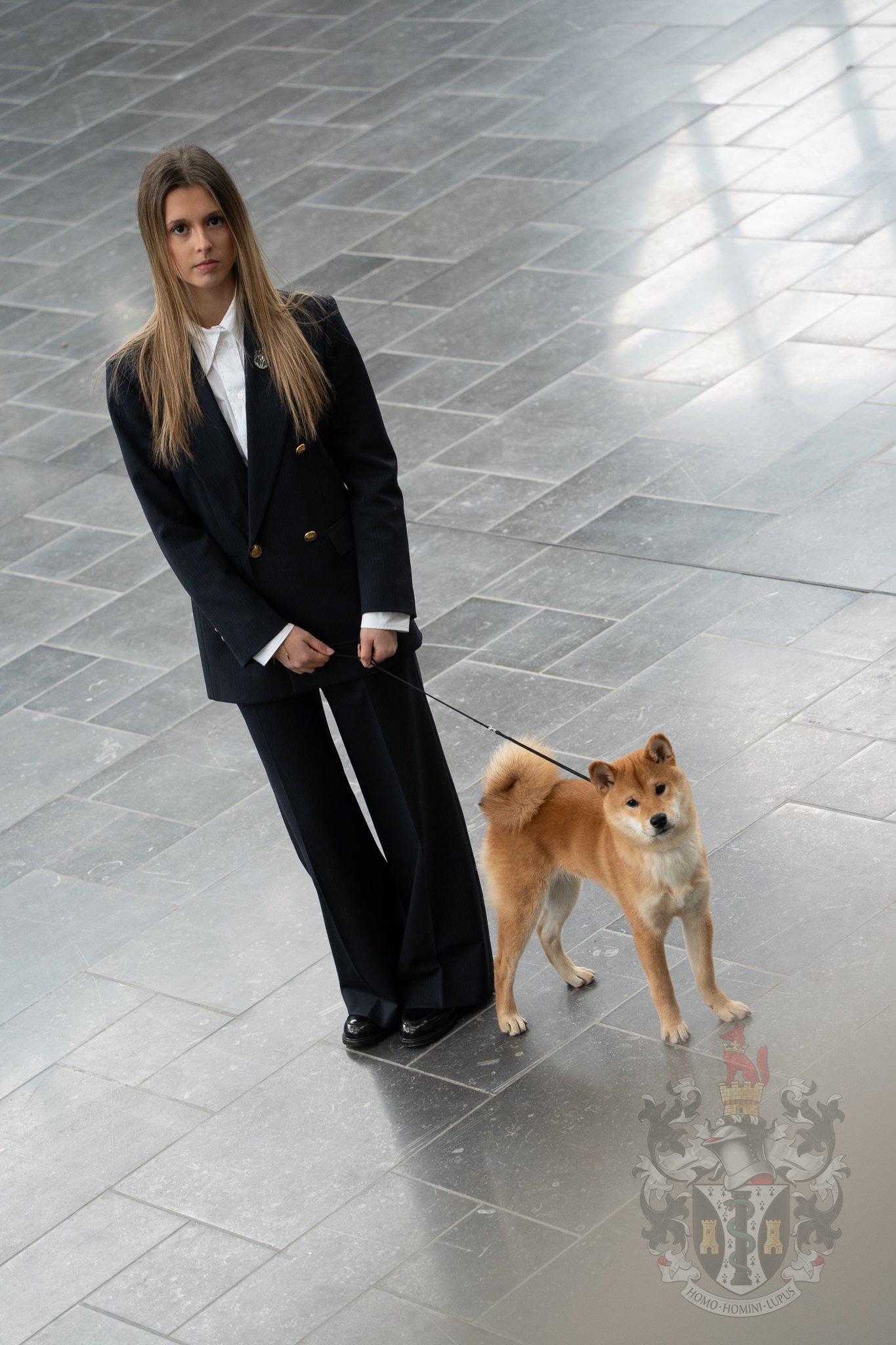 Présentation élégante d'un Shiba Inu Adams dans le cadre épuré et moderne de l'exposition internationale de Lyon.