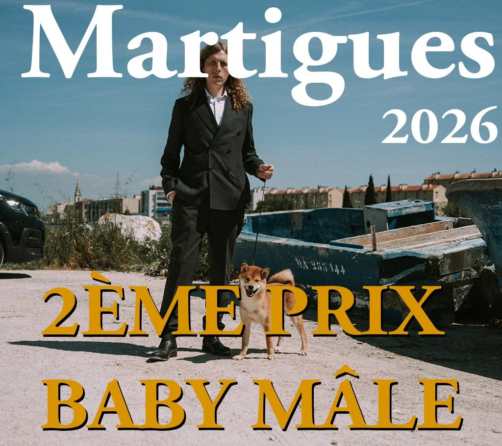 martigues.jpg