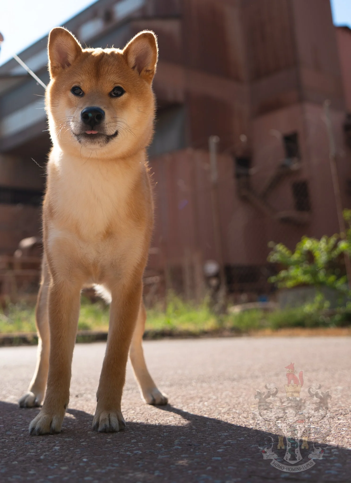 Détails de métal oxydé et de rouille à Gardanne, soulignant l'esthétique industrielle du projet T.M. ADAMS