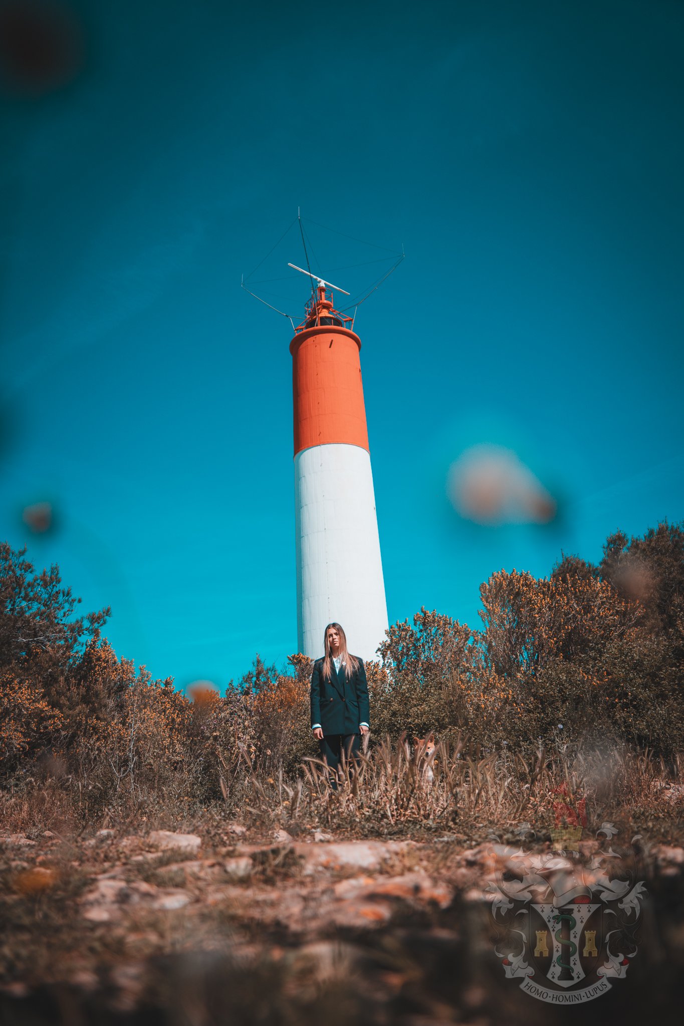 Le Shiba Inu Ace devant le Phare de Cap Couronne à Martigues, témoin de l'excellence du circuit de la Côte Bleue.