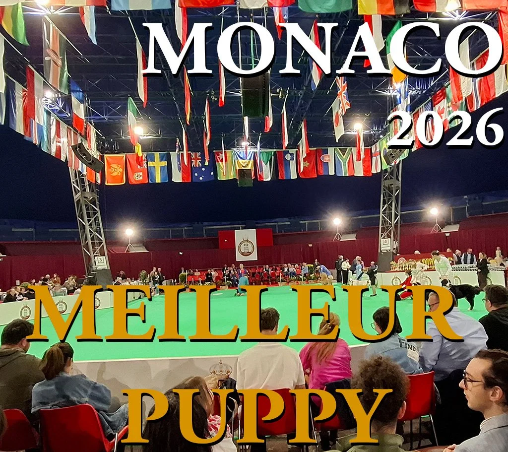 MONCO2026.jpg